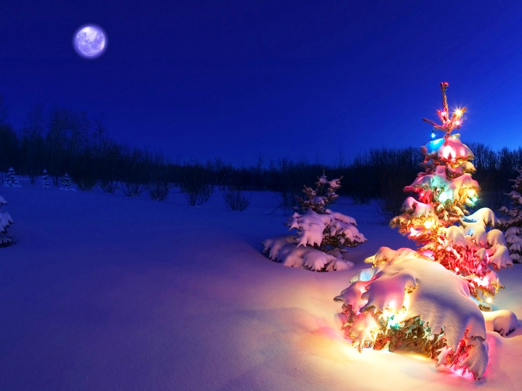 xmas desktop wallpaper,christmas tree,nature,winter,christmas,sky