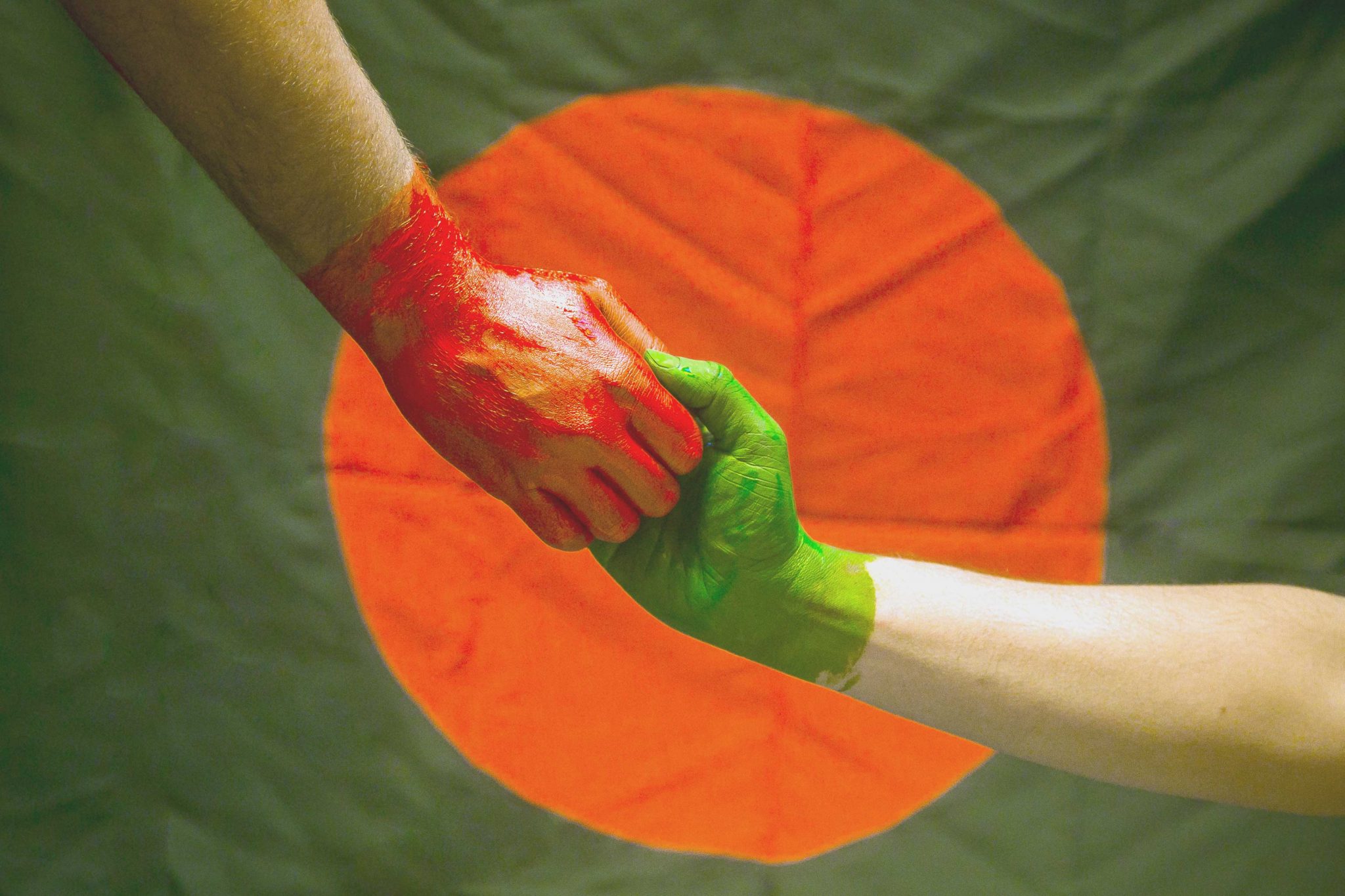 16 december wallpaper,green,orange,arm,hand,leaf