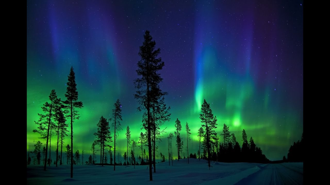フィンランドの壁紙,オーロラ,空,自然,木,自然の風景