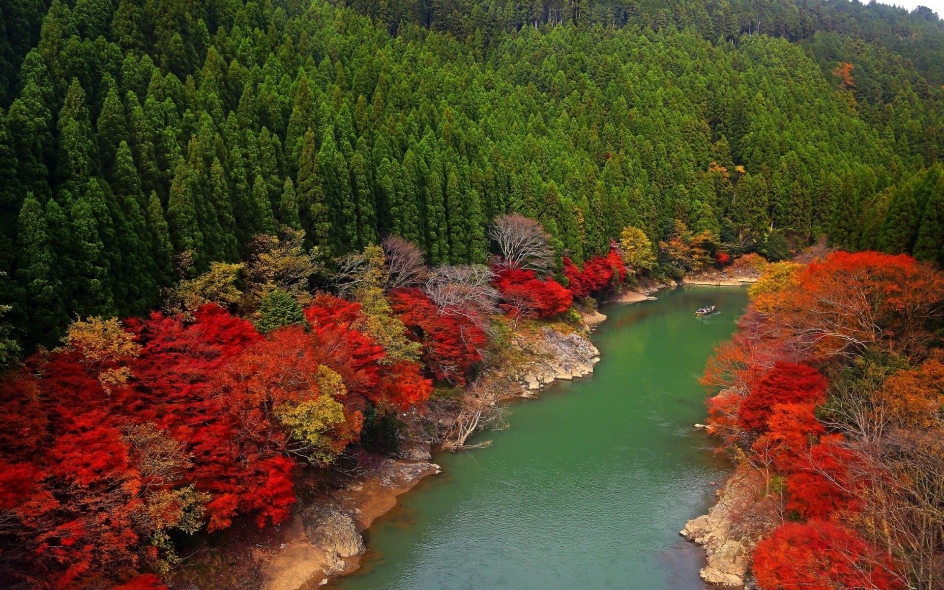 automne fond d'écran d'automne,paysage naturel,la nature,arbre,feuille,rivière