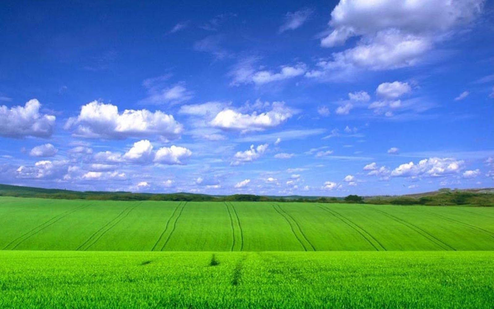 green field wallpaper,sky,grassland,green,field,natural landscape