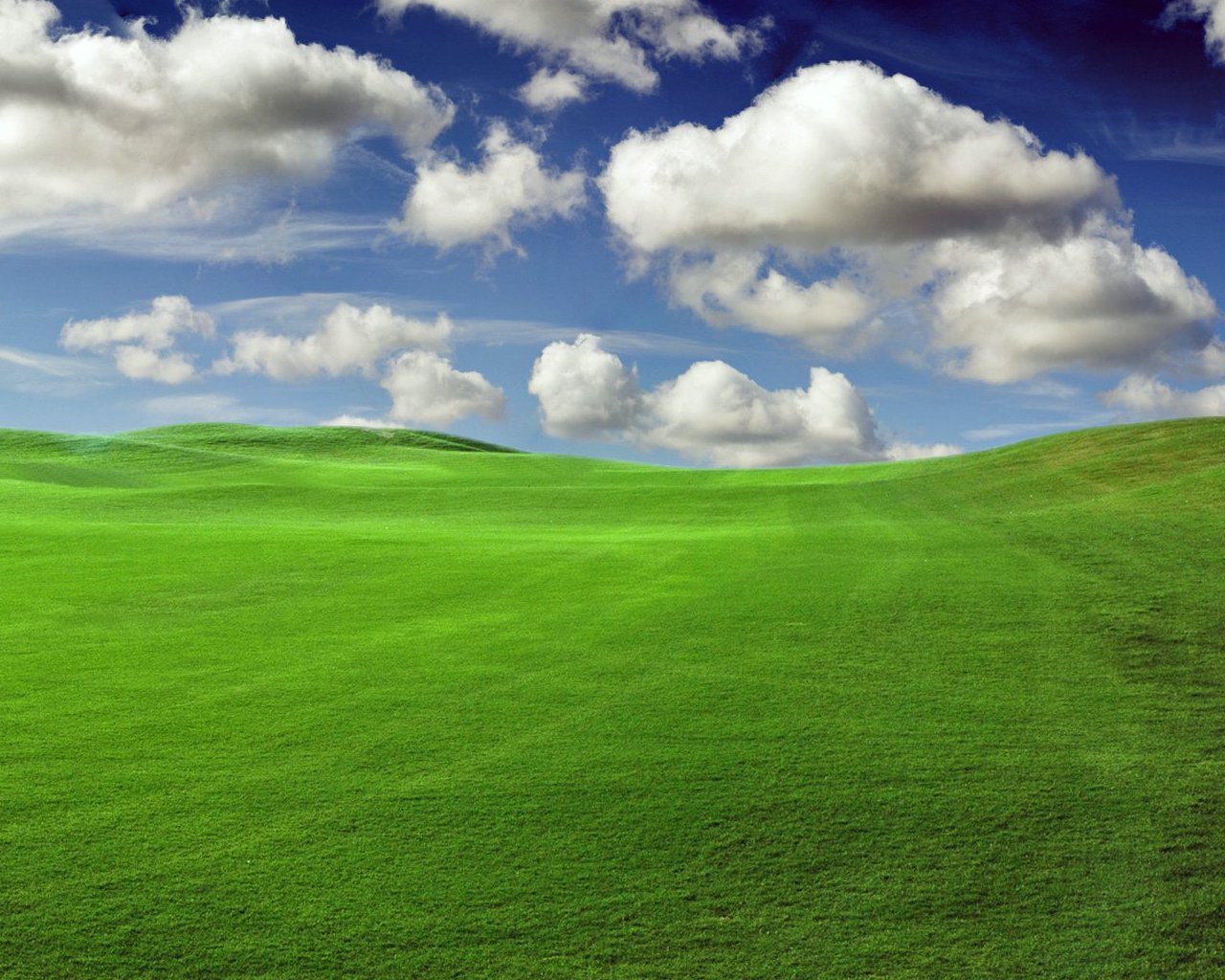 green field wallpaper,grassland,green,sky,natural landscape,nature