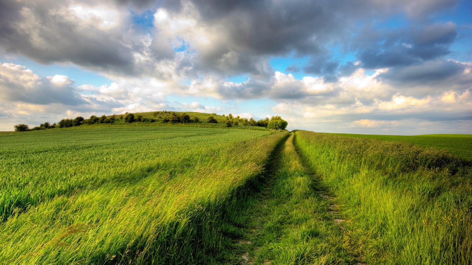 fondo de pantalla de campo verde,paisaje natural,pradera,naturaleza,cielo,verde