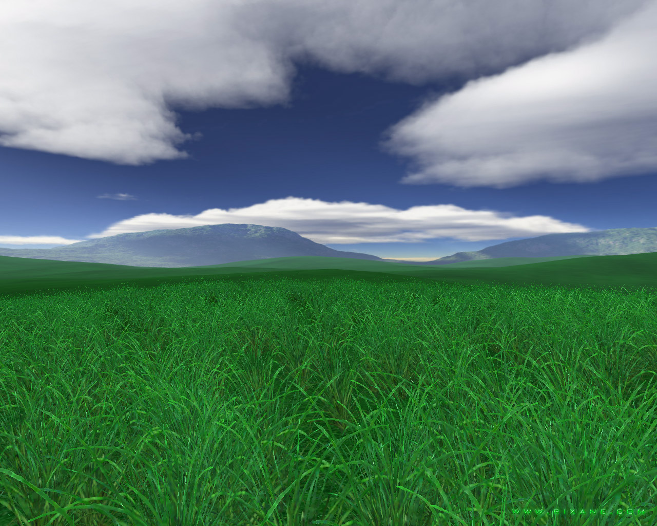 green field wallpaper,grassland,green,natural landscape,nature,sky