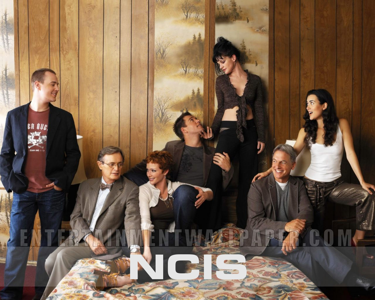 ncis wallpaper,social group,event,conversation