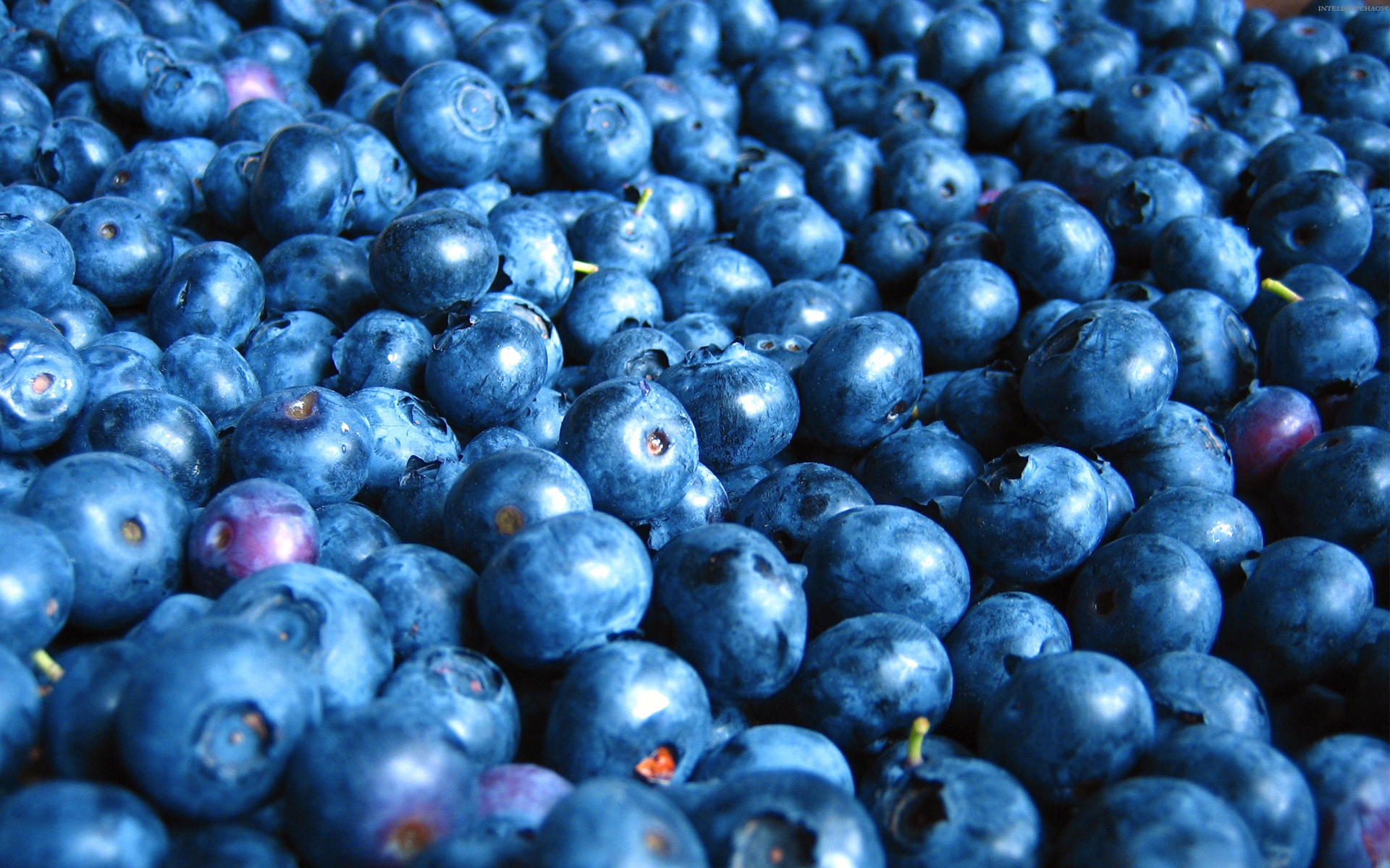 papel tapiz de bayas,alimentos naturales,baya,fruta,azul,superalimento