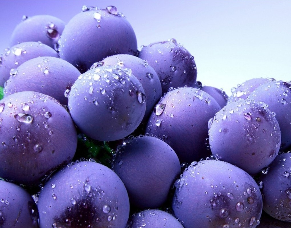 fond d'écran de baies,l'eau,violet,plante,sphère,fruit