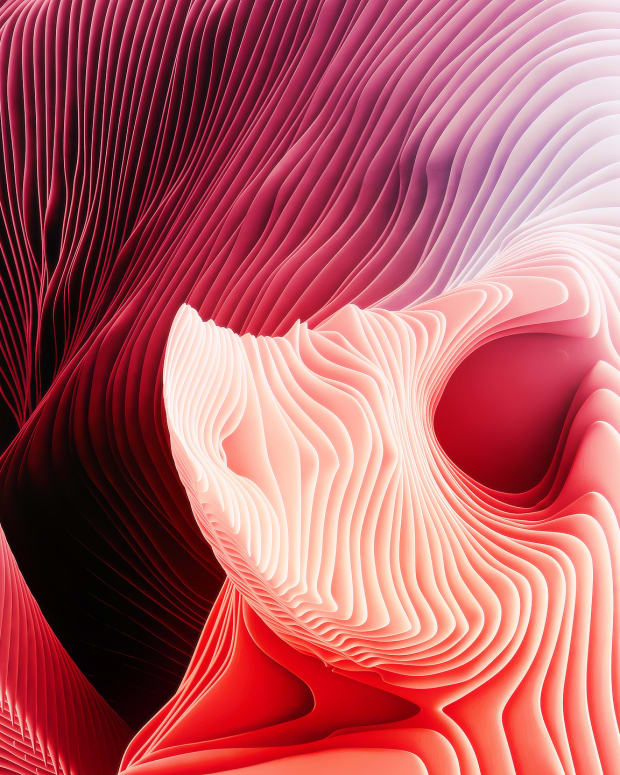 nuevo fondo de pantalla de macbook,rosado,rojo,de cerca,ilustración,planta