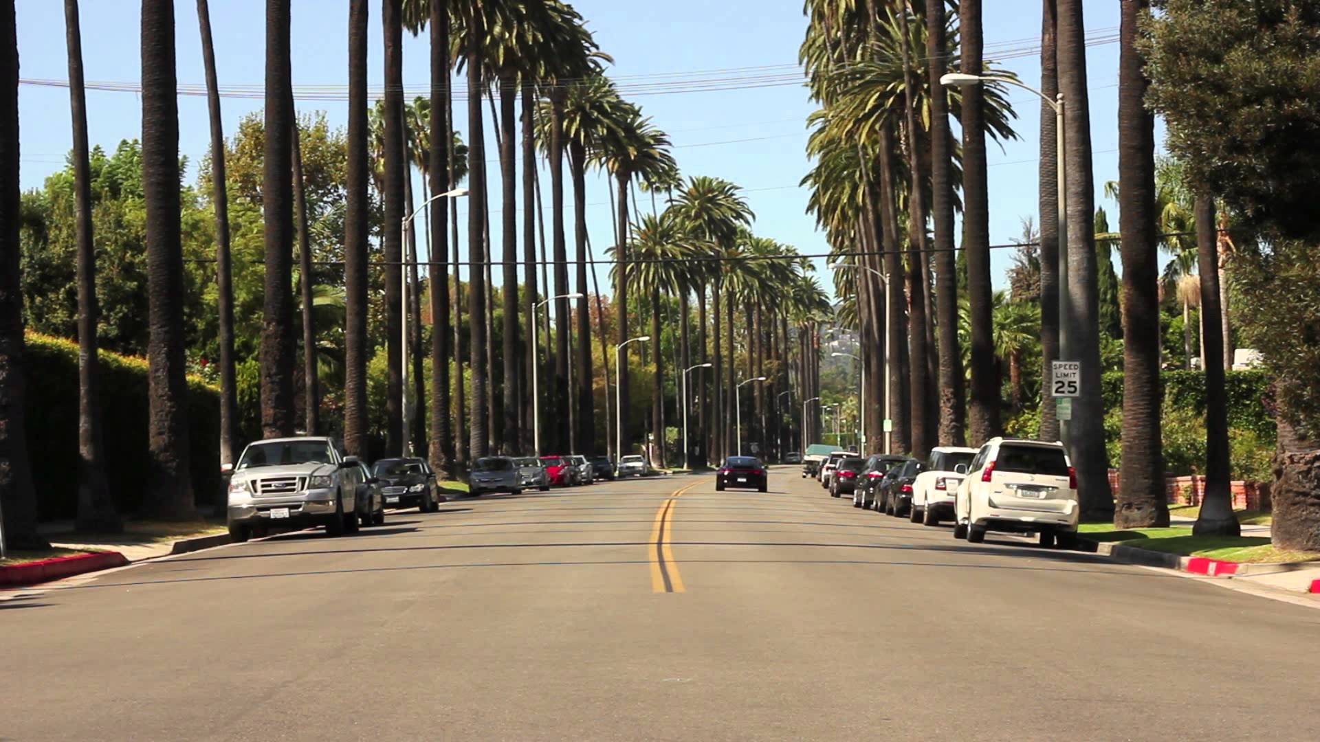 fondo de pantalla de beverly hills,la carretera,carril,árbol,vía pública,asfalto