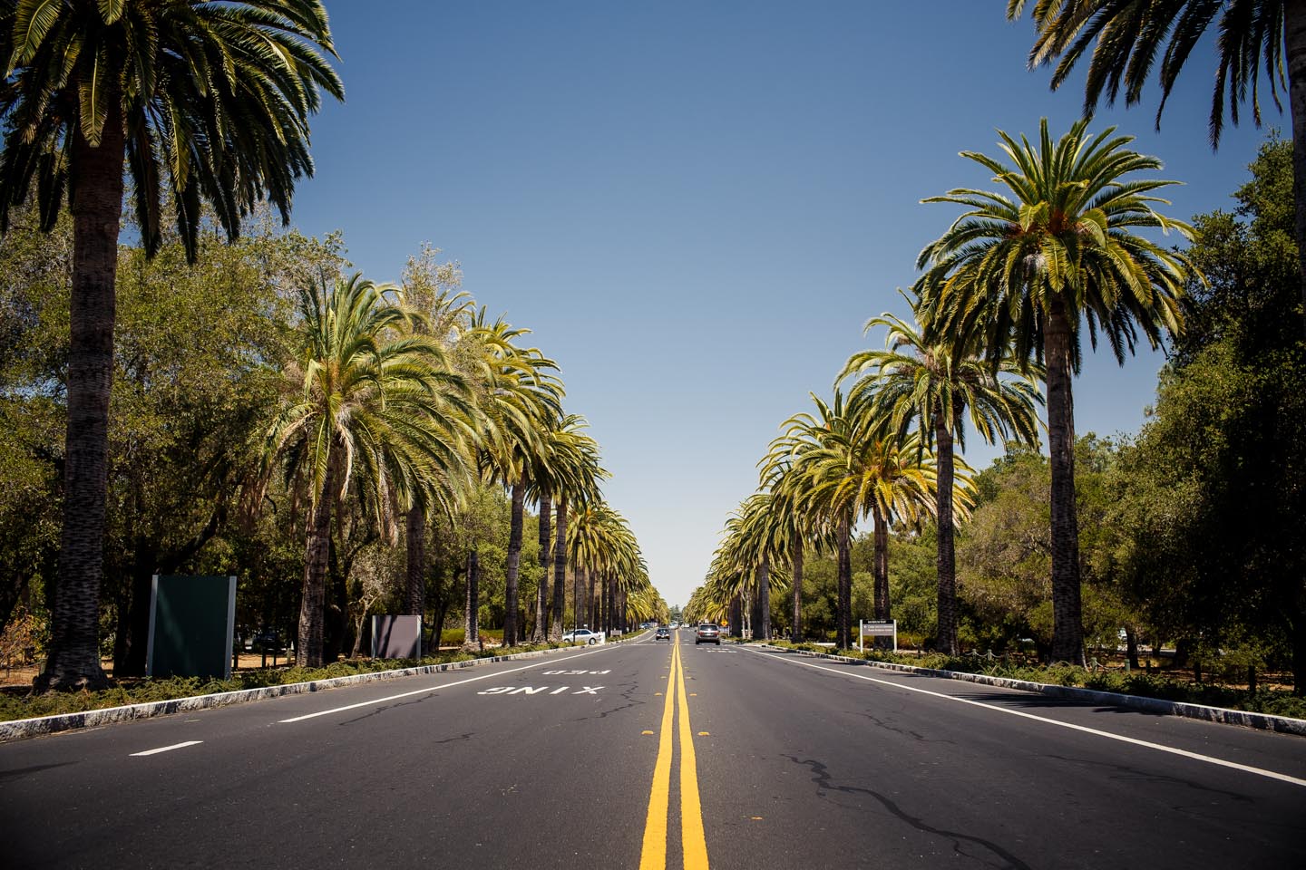 fond d'écran de beverly hills,arbre,route,palmier,ciel,asphalte