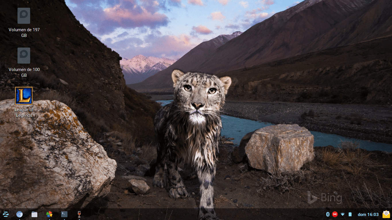 es fondo de pantalla,felidae,leopardo de nieve,fauna silvestre,grandes felinos,animal terrestre