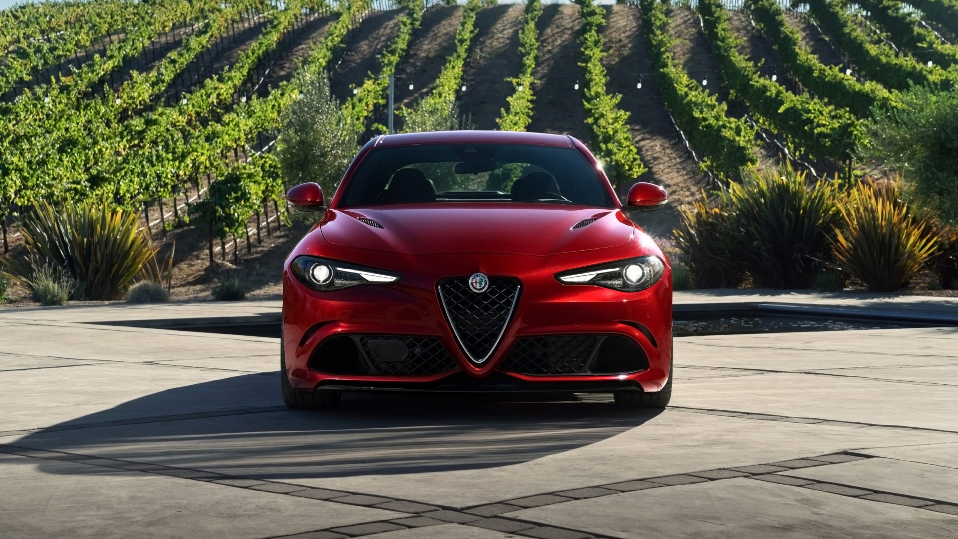 alfa romeo giulia quadrifoglio fondo de pantalla,vehículo terrestre,vehículo,coche,golpe,coche deportivo