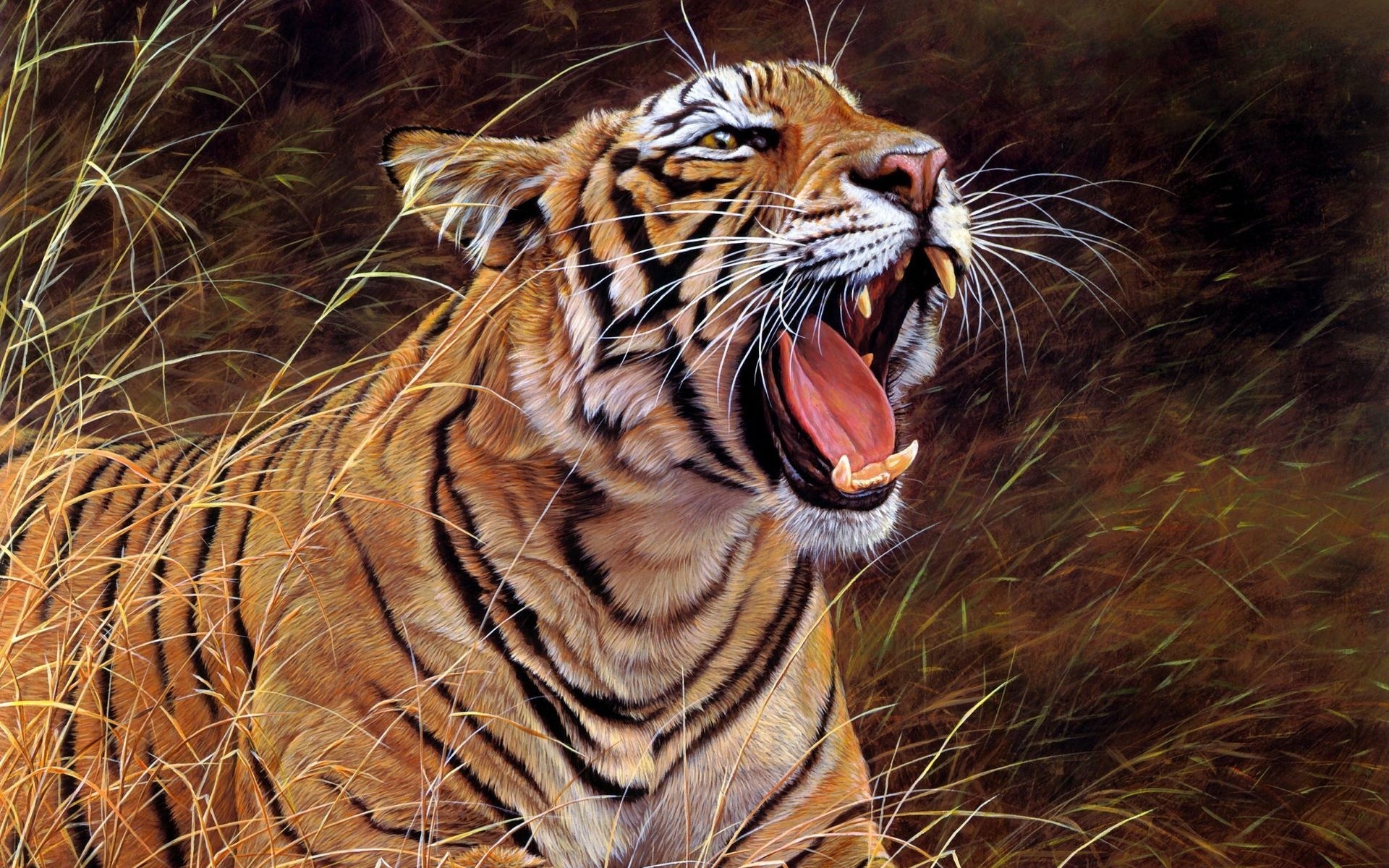 tier wallpaper,tiger,wildlife,vertebrate,bengal tiger,terrestrial animal