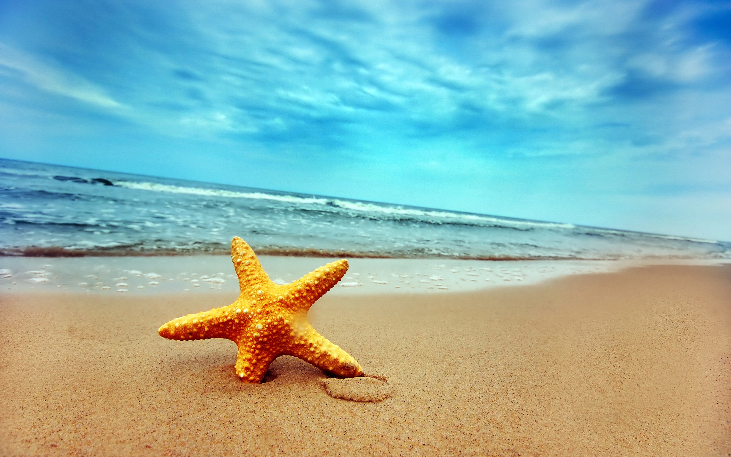 fondo de pantalla de urlaub,estrella de mar,cielo,mar,playa,vacaciones