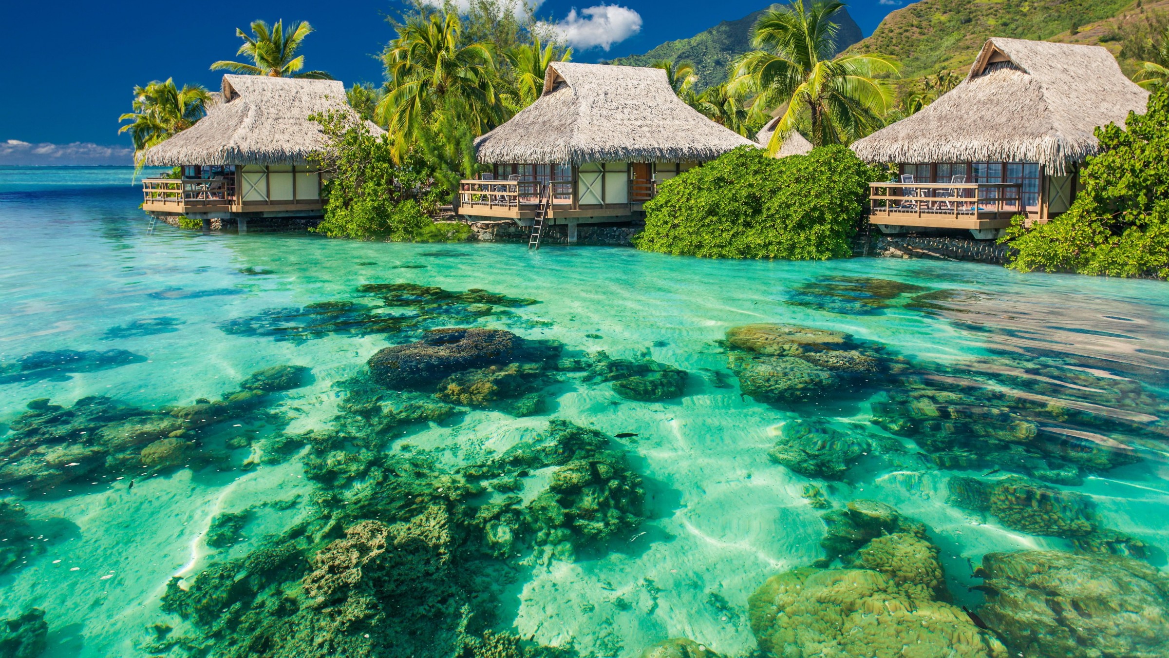 fondo de pantalla de urlaub,paisaje natural,naturaleza,recurso,laguna,caribe