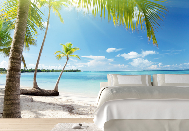 urlaub wallpaper,vacation,caribbean,palm tree,tropics,shore