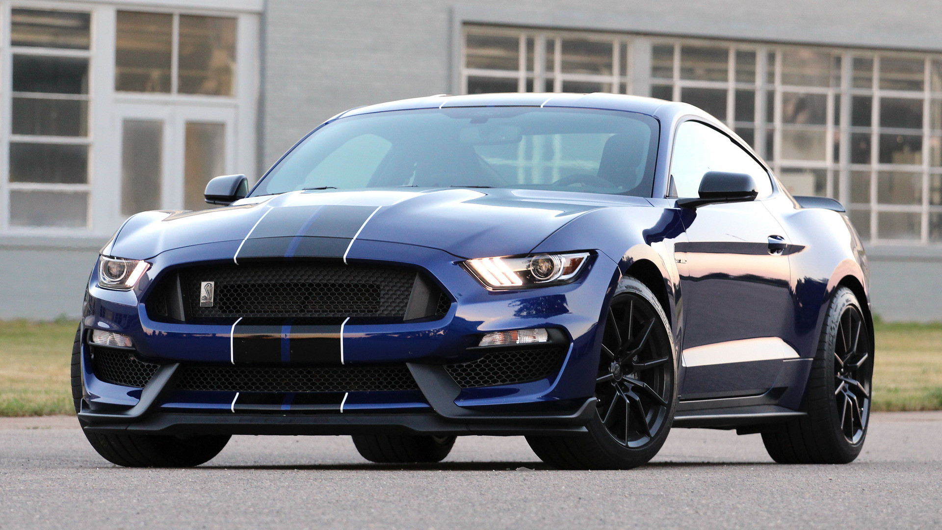 shelby wallpaper,land vehicle,vehicle,car,motor vehicle,shelby mustang