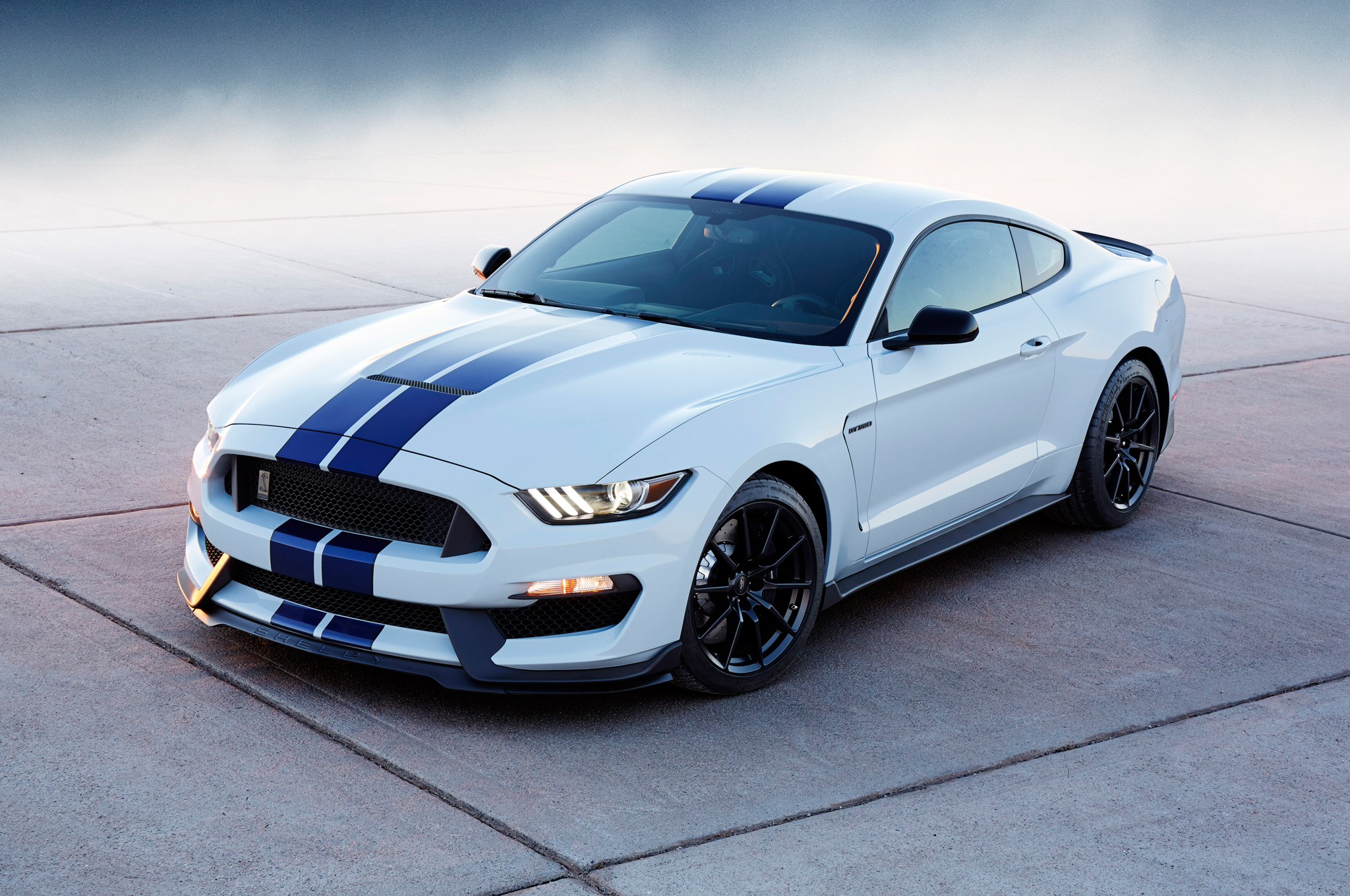 shelby wallpaper,land vehicle,vehicle,car,shelby mustang,motor vehicle