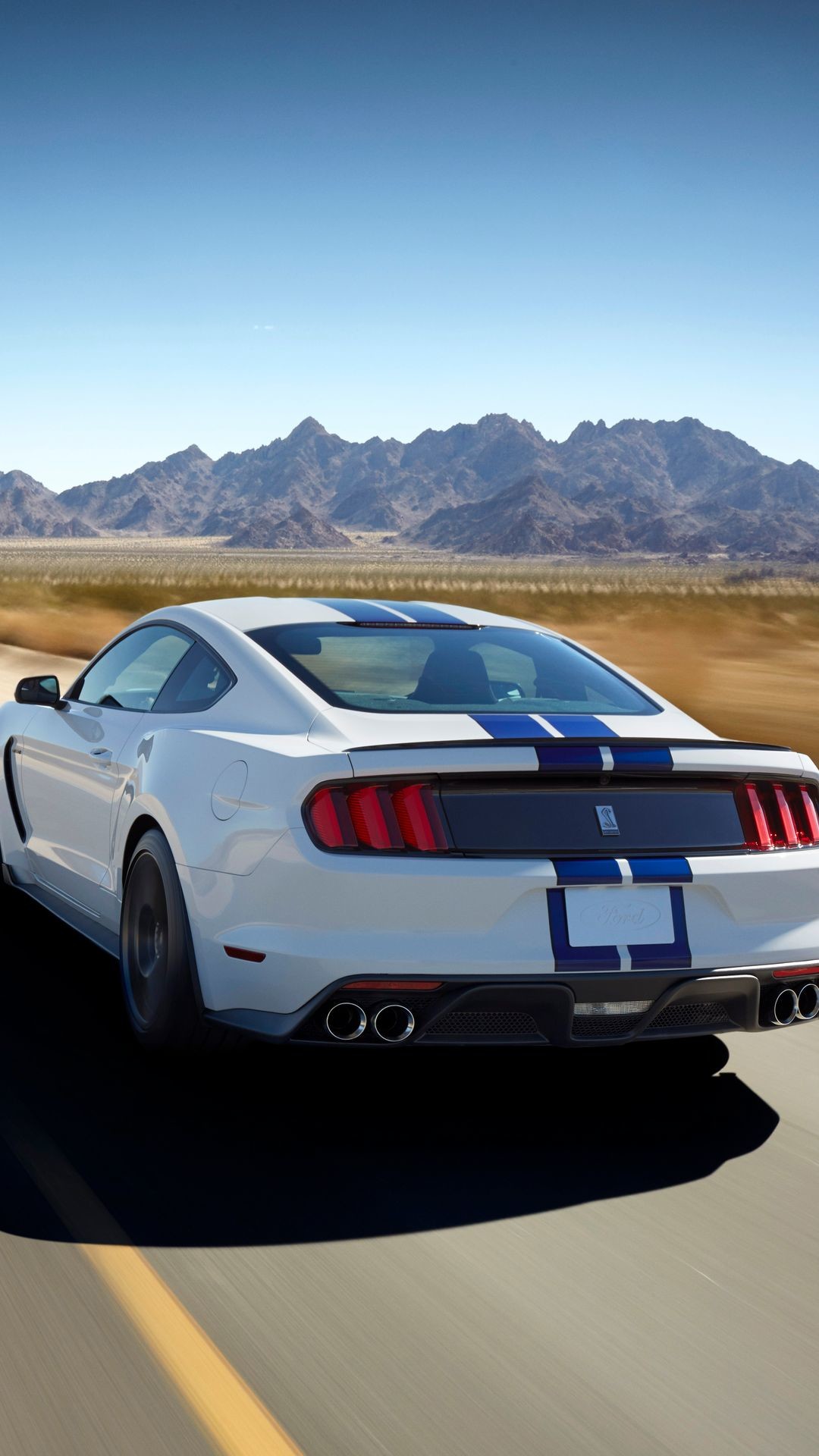 shelby tapete,landfahrzeug,fahrzeug,auto,shelby mustang,muscle car