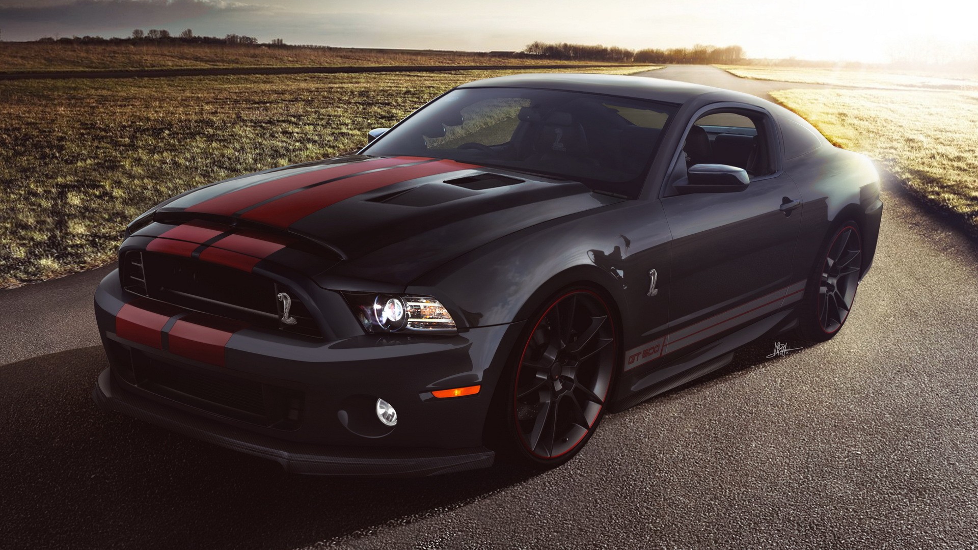 shelby wallpaper,land vehicle,vehicle,car,motor vehicle,shelby mustang