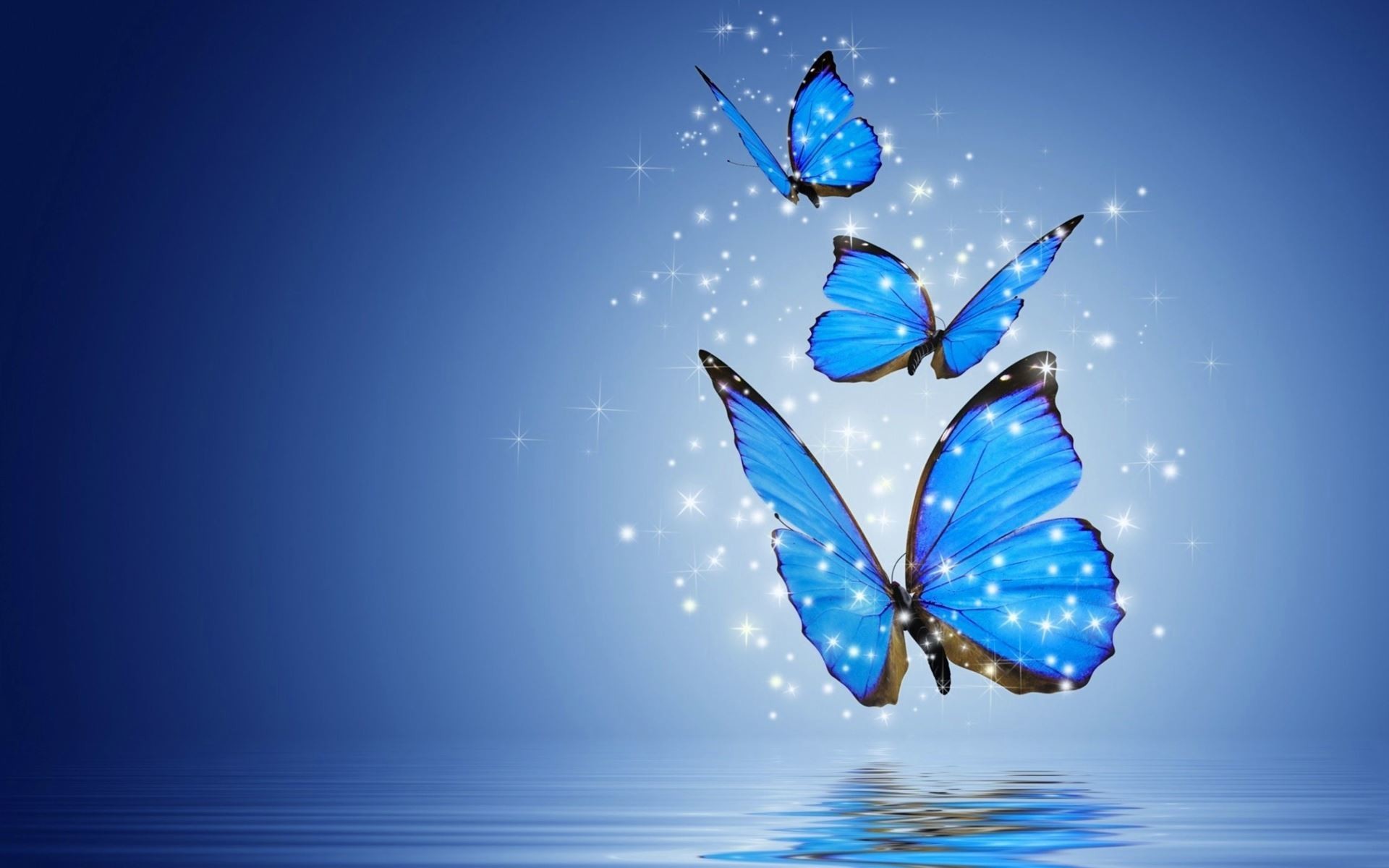 hd wallpaper download for mobile,blue,butterfly,water,azure,insect