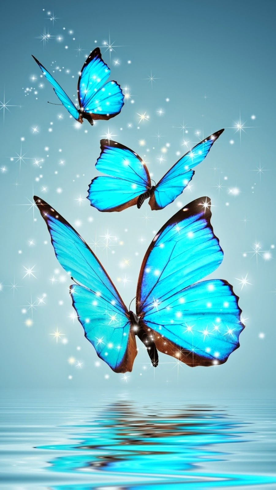 fondo de pantalla hd para móvil descarga gratuita,mariposa,azul,insecto,polillas y mariposas,turquesa