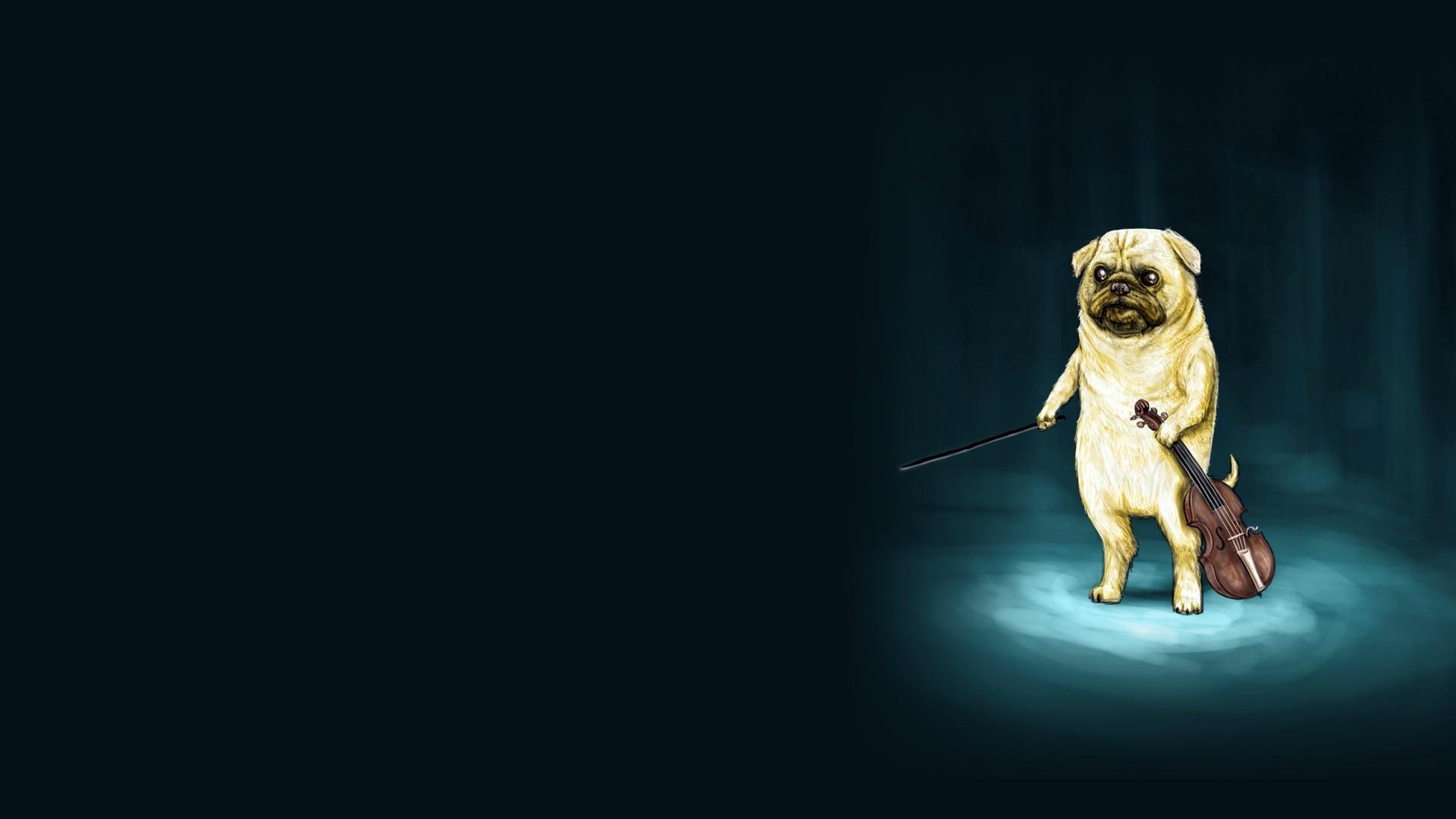 pug wallpaper,dog,canidae,dog breed,pug,carnivore