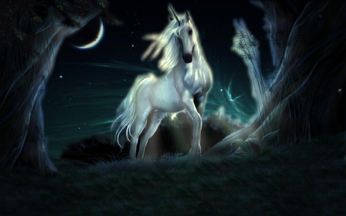 carta da parati unicorno,cavallo,buio,personaggio fittizio,creatura mitica,cielo
