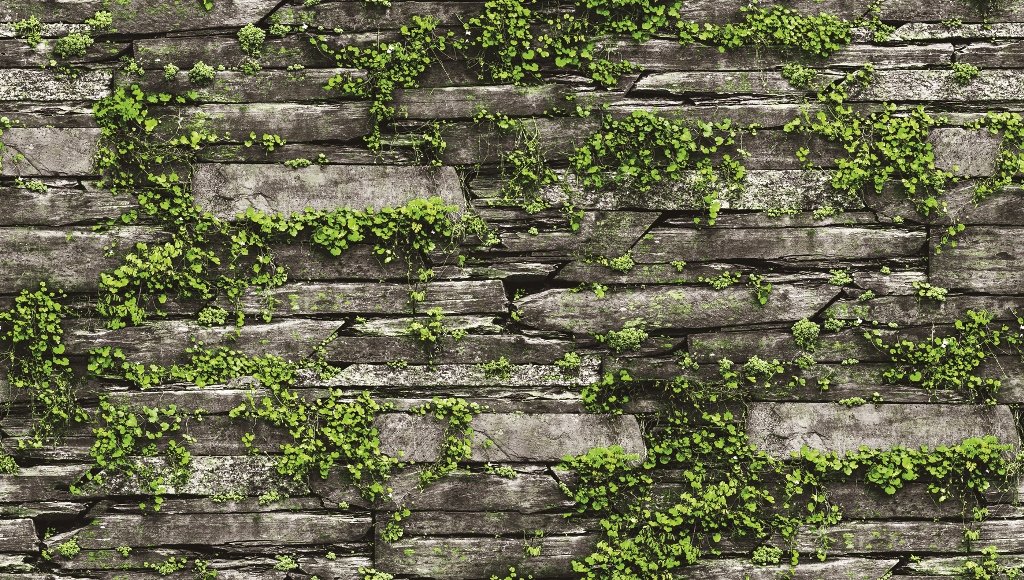 stone wallpaper,wall,stone wall,brick,brickwork,non vascular land plant