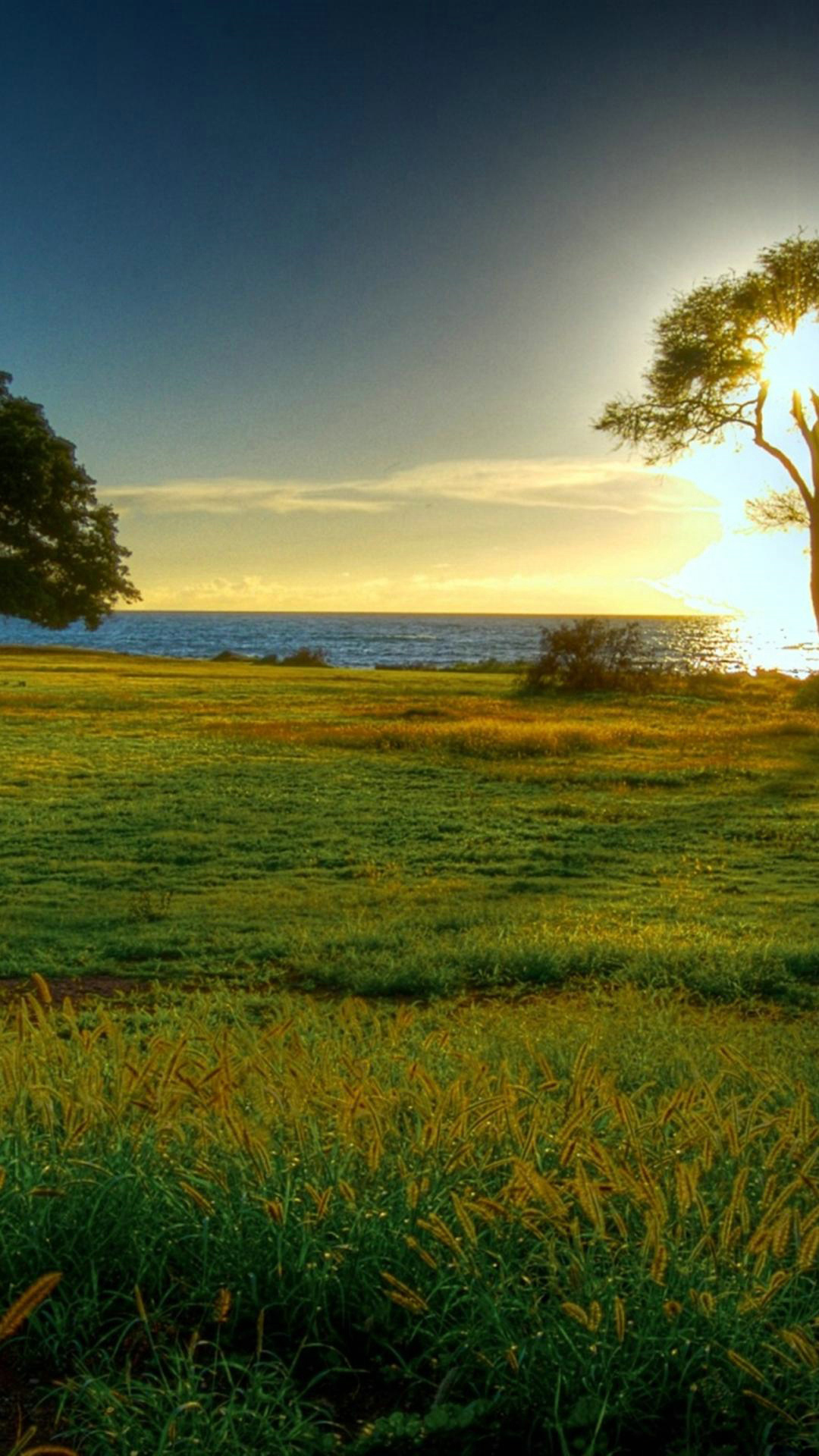 fonds d'écran hd pour iphone 6 1080p,paysage naturel,la nature,ciel,prairie,herbe