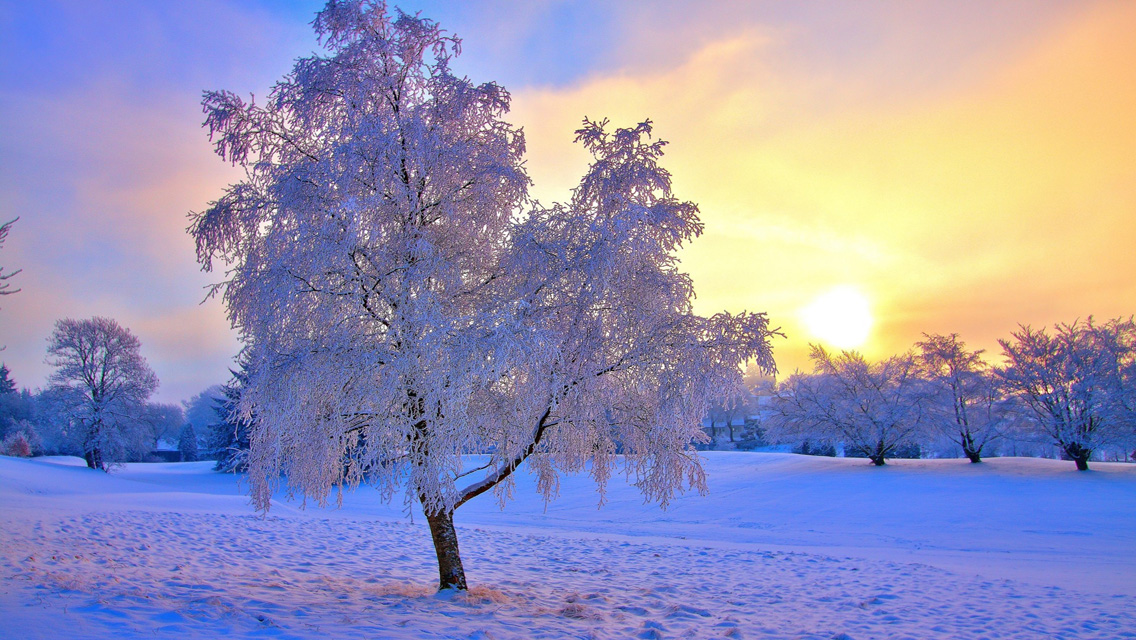 Iphone 6 1080pのhd壁紙 冬 空 自然の風景 自然 雪 Wallpaperuse