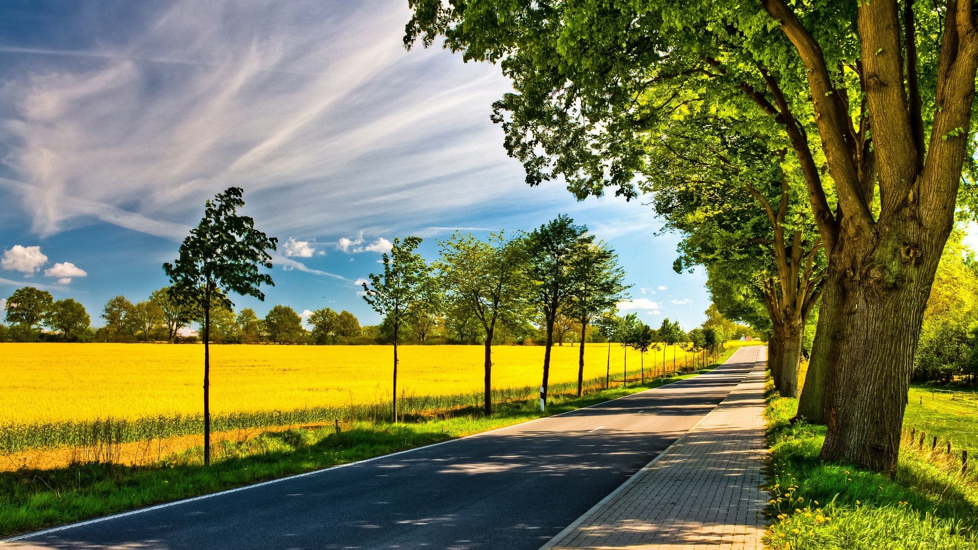 hd wallpapers 1080p,natural landscape,nature,sky,road,tree