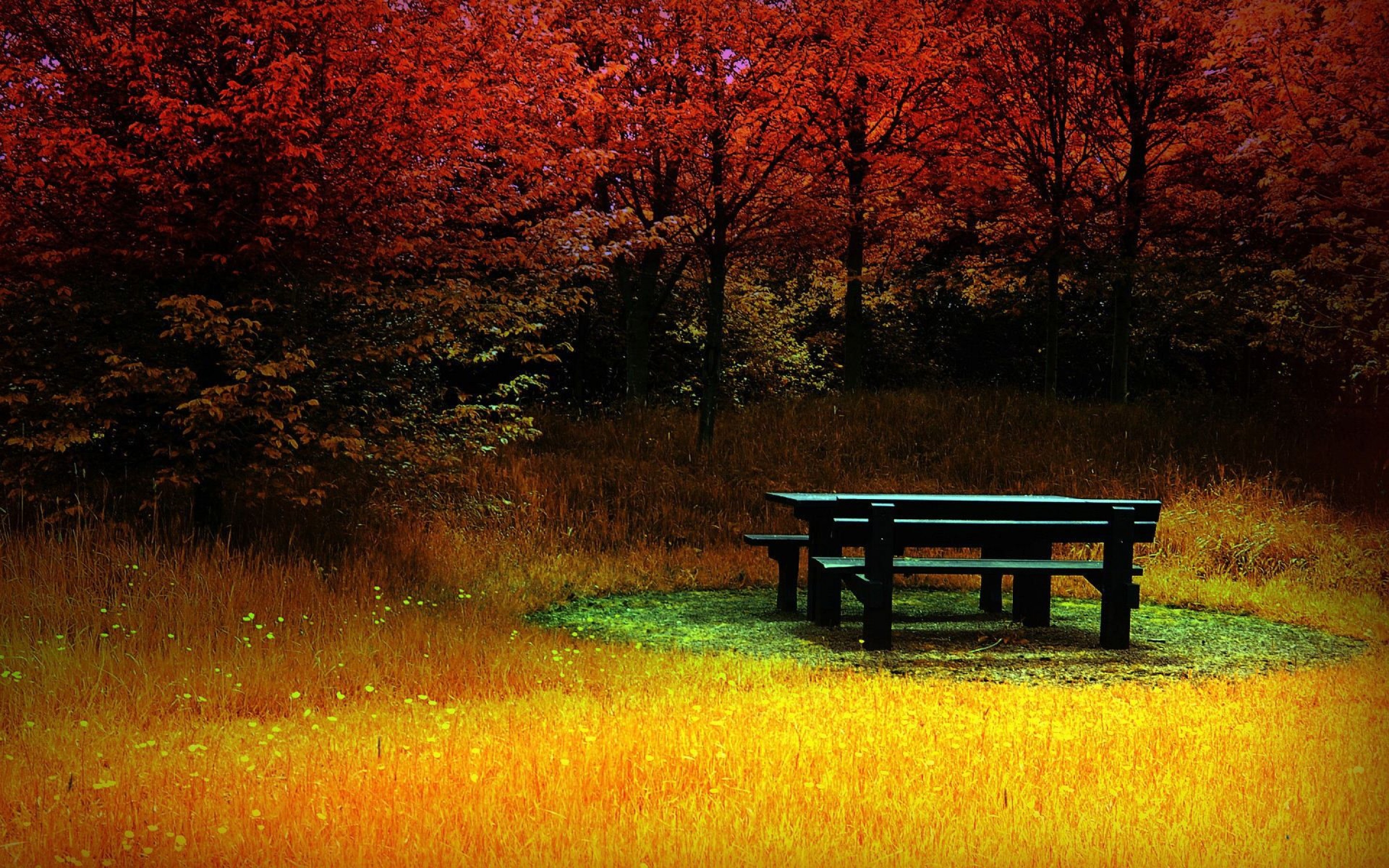 full hd wallpaper download,natural landscape,nature,tree,furniture,bench