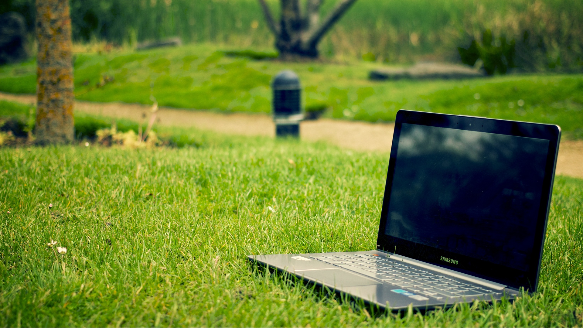 full hd wallpaper download,laptop,nature,grass,netbook,green