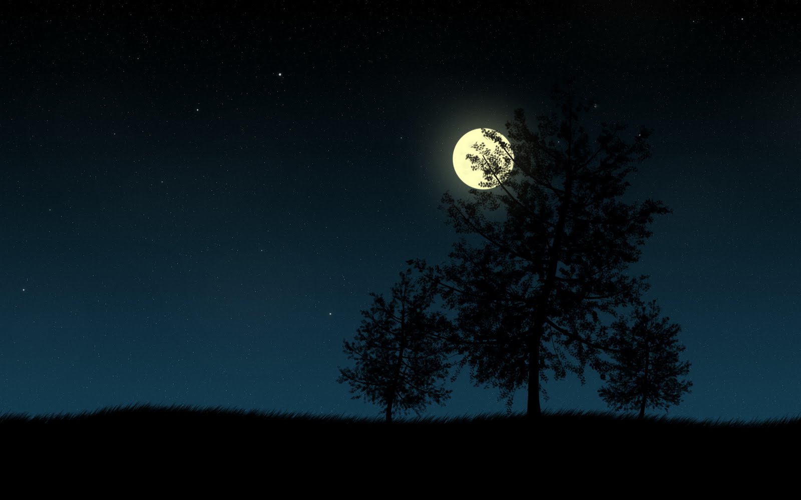 hd wallpapers 1080p,sky,moon,nature,moonlight,night