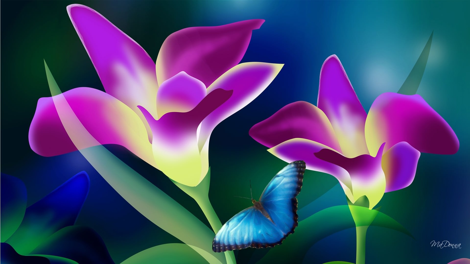 Free Hd Nature Flowers 3d Wallpaper Hd Nature Flowers 3d Wallpaper Download Wallpaperuse 1