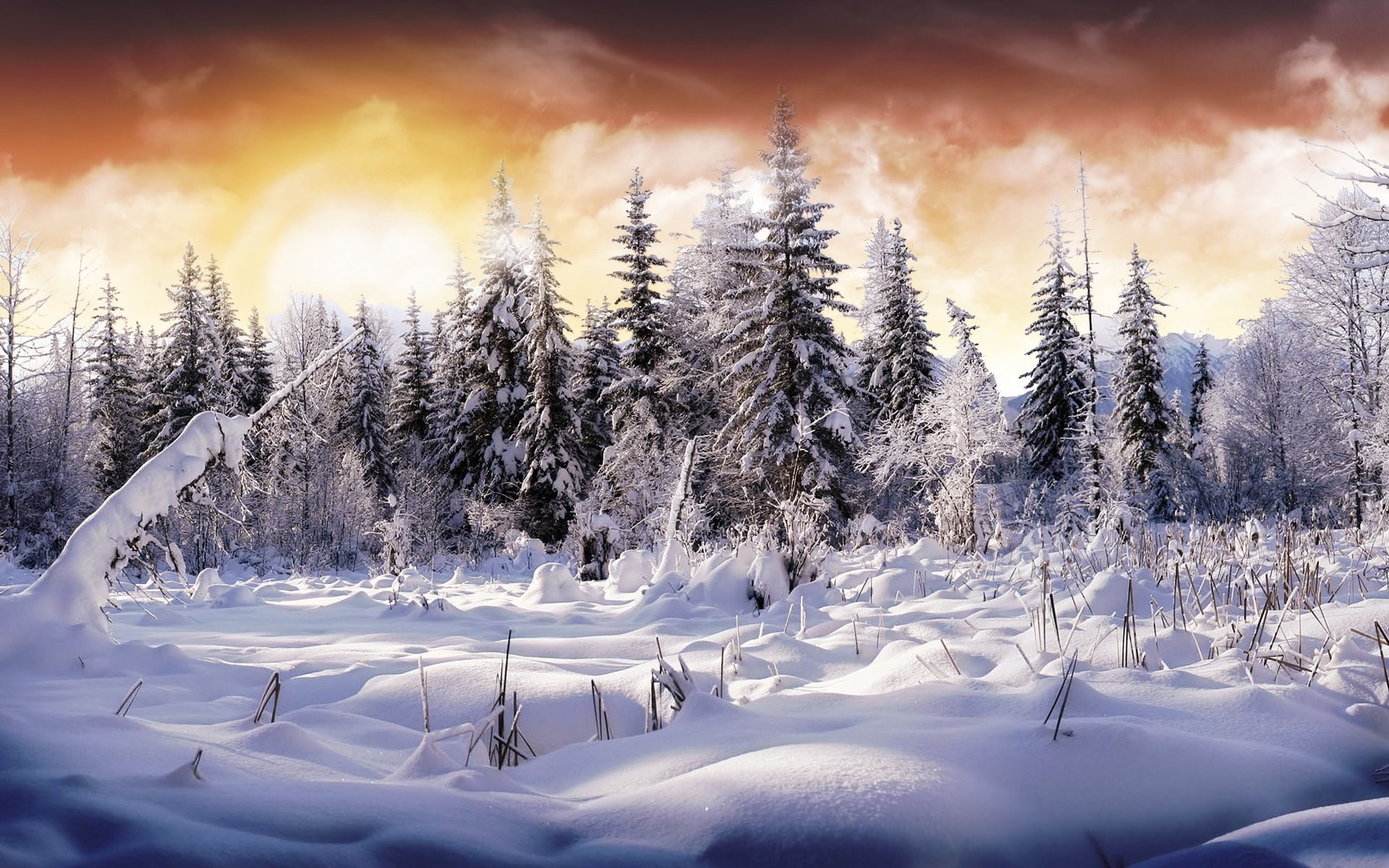 フルhdの壁紙のダウンロード,冬,自然,雪,自然の風景,空