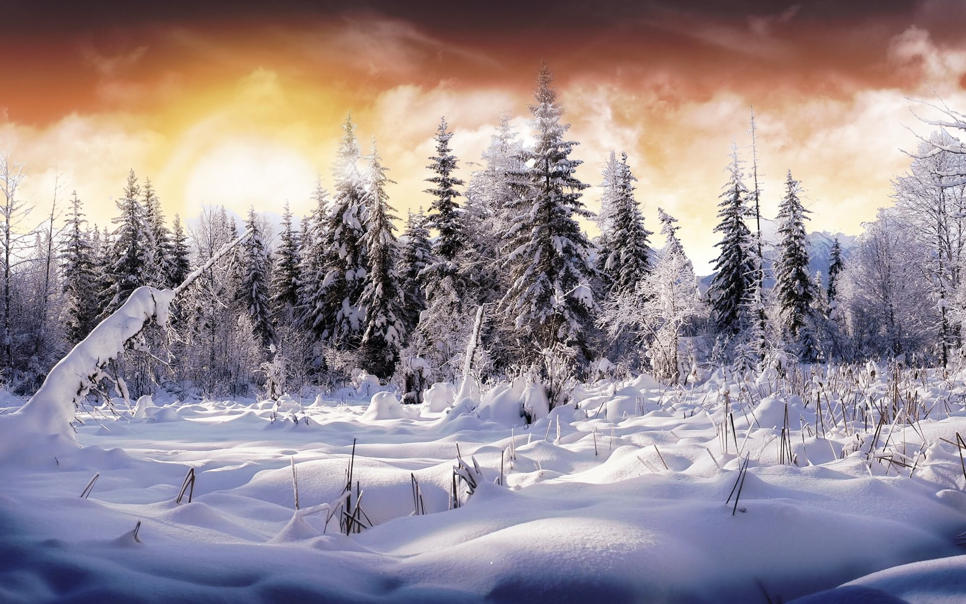 full hd wallpaper herunterladen,winter,natur,schnee,natürliche landschaft,himmel