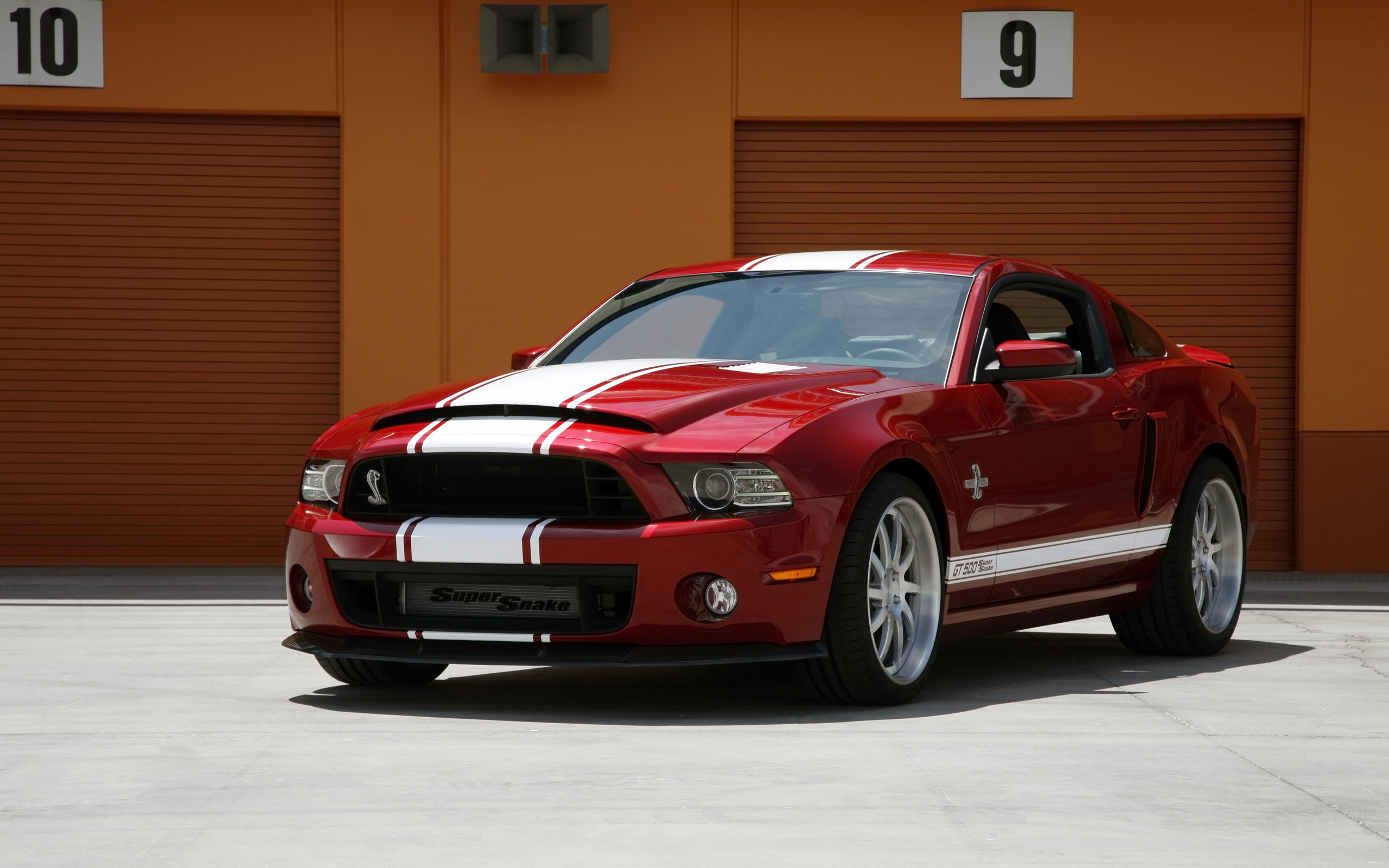 papel pintado de serpiente,vehículo terrestre,vehículo,coche,shelby mustang,vehículo de motor