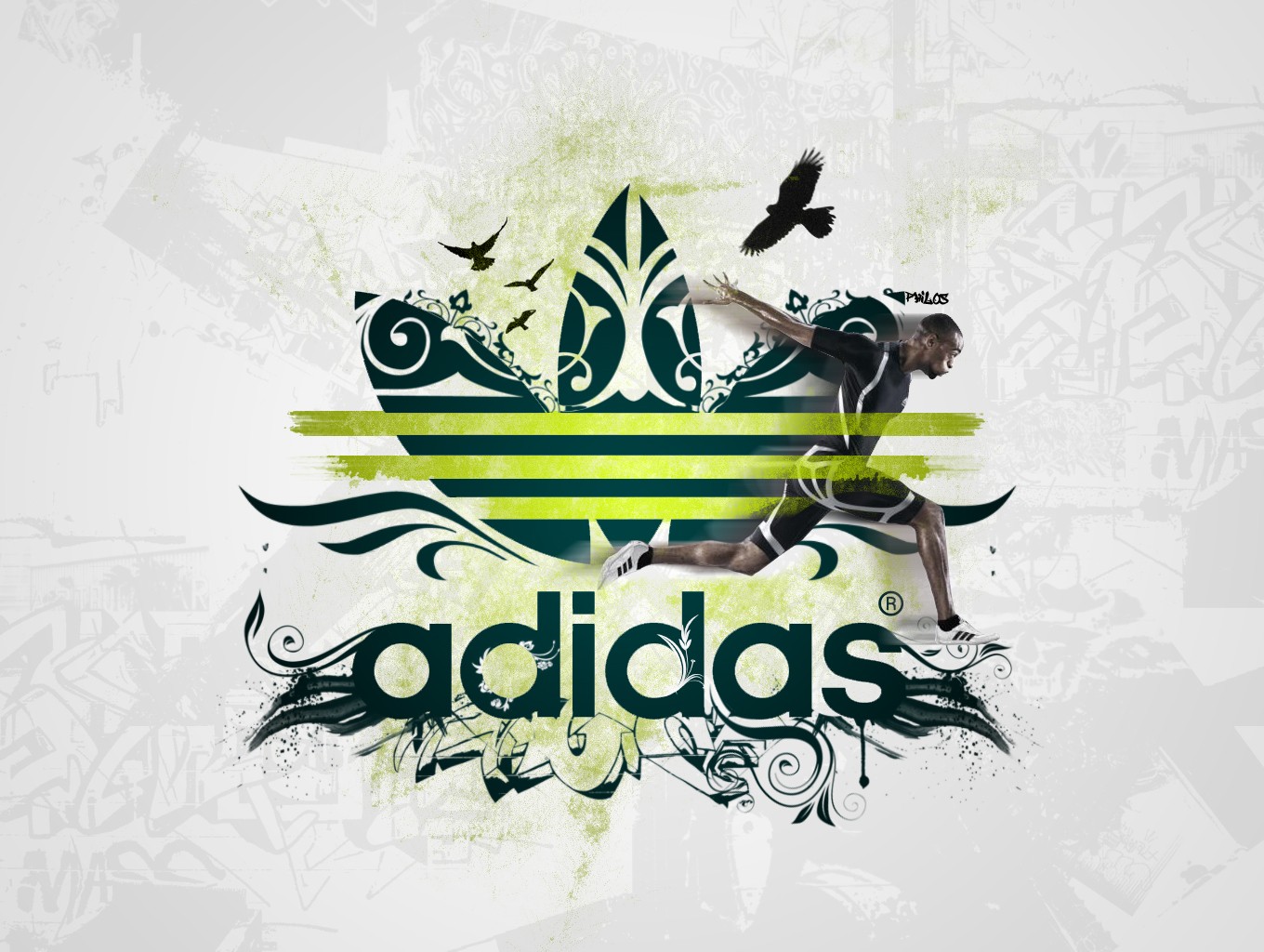 carta da parati adidas,font,illustrazione,disegno grafico,design,grafica