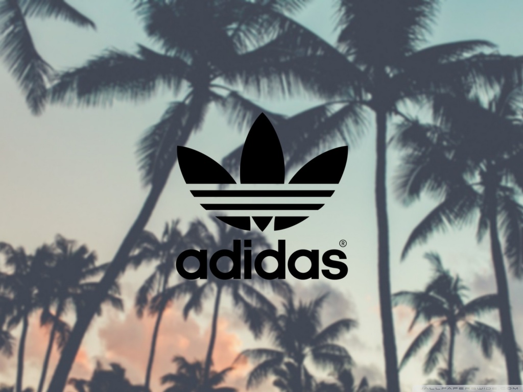 adidas wallpaper,palm tree,tree,arecales,attalea speciosa,plant