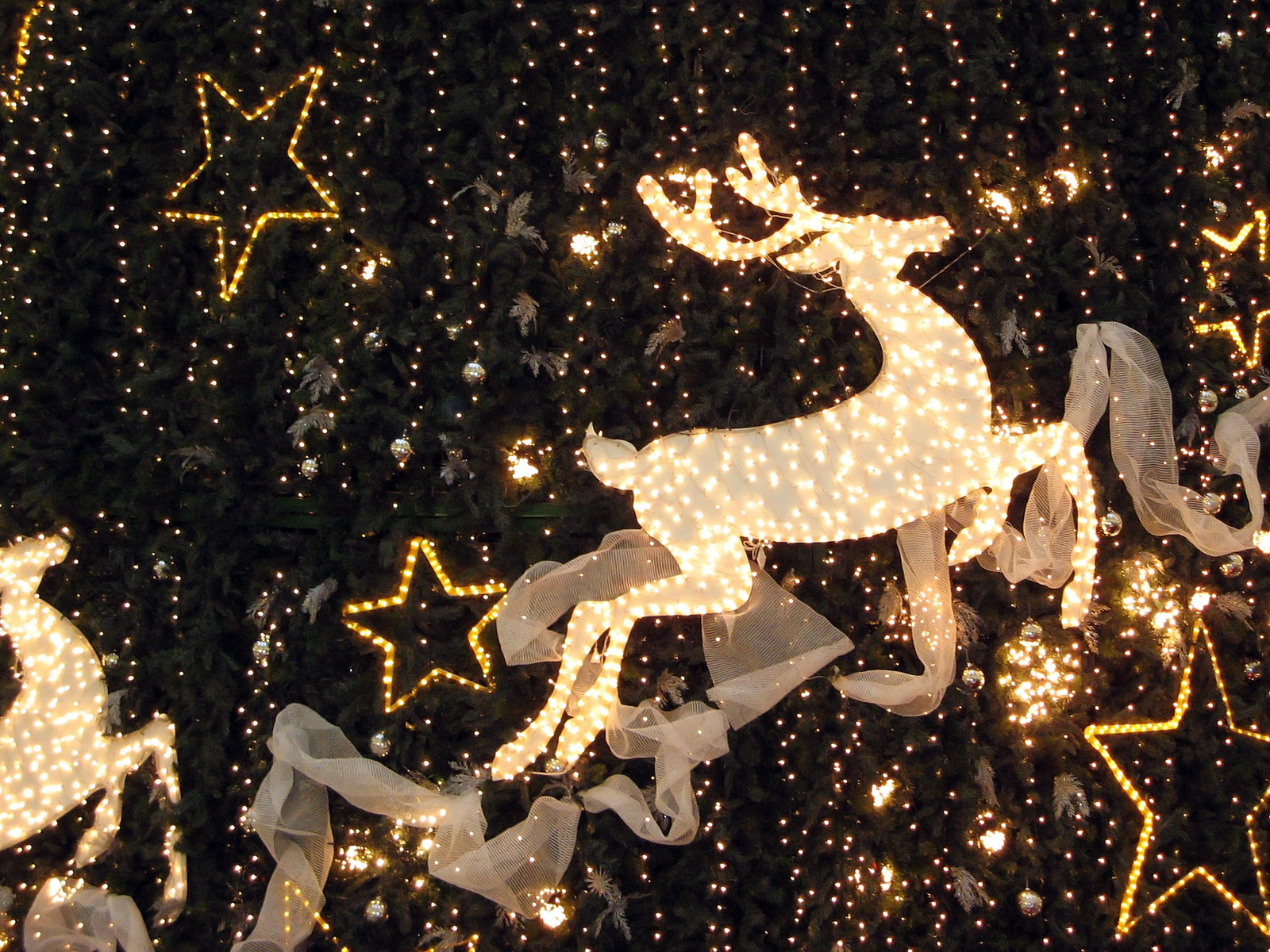 christmas wallpaper hd,reindeer,deer,christmas lights,christmas decoration,christmas ornament