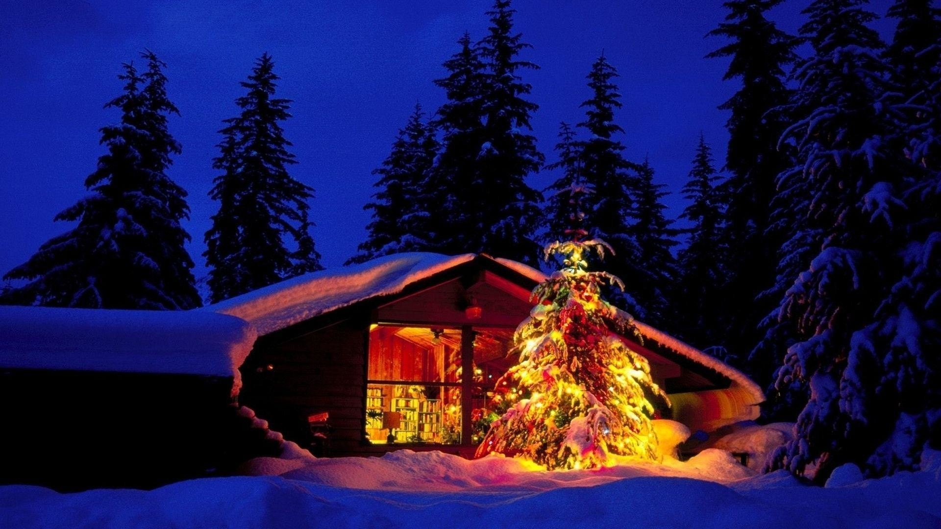 weihnachtstapete hd,winter,schnee,baum,himmel,weihnachten