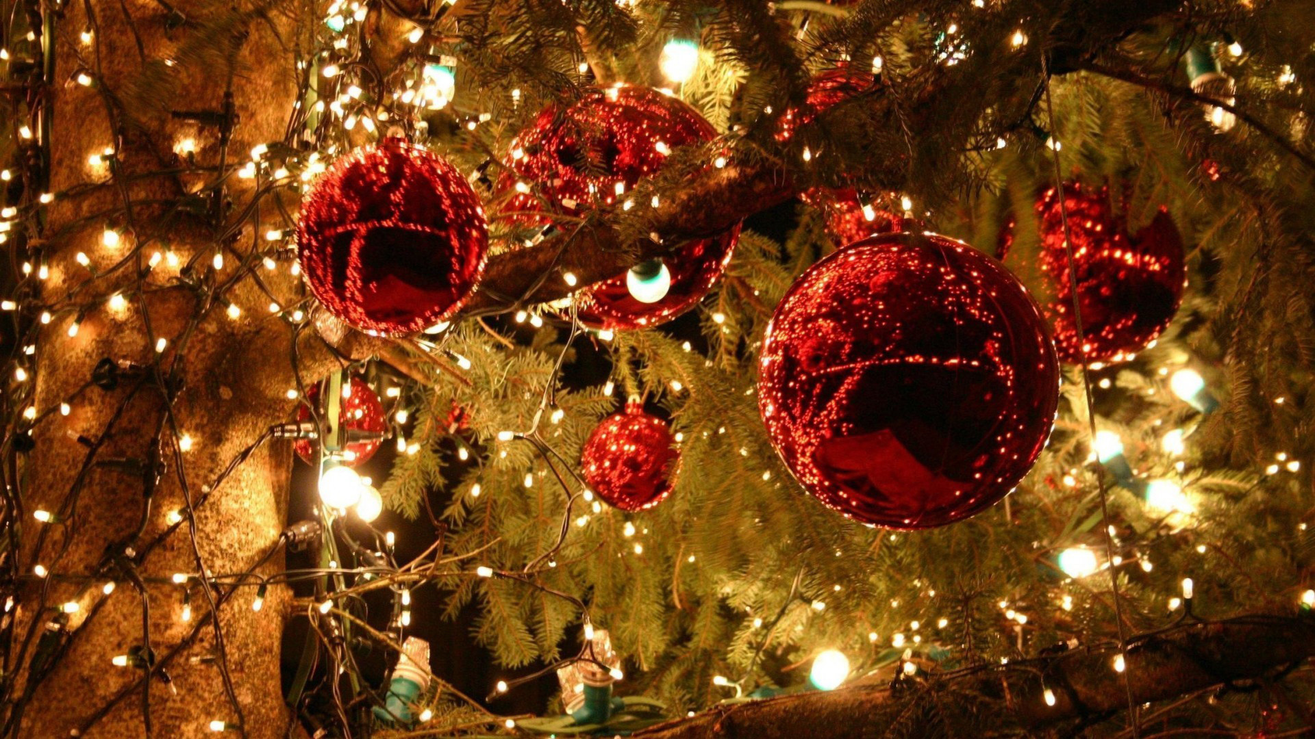 크리스마스 벽지 hd,크리스마스 장식,크리스마스 장식,크리스마스,크리스마스 트리,나무