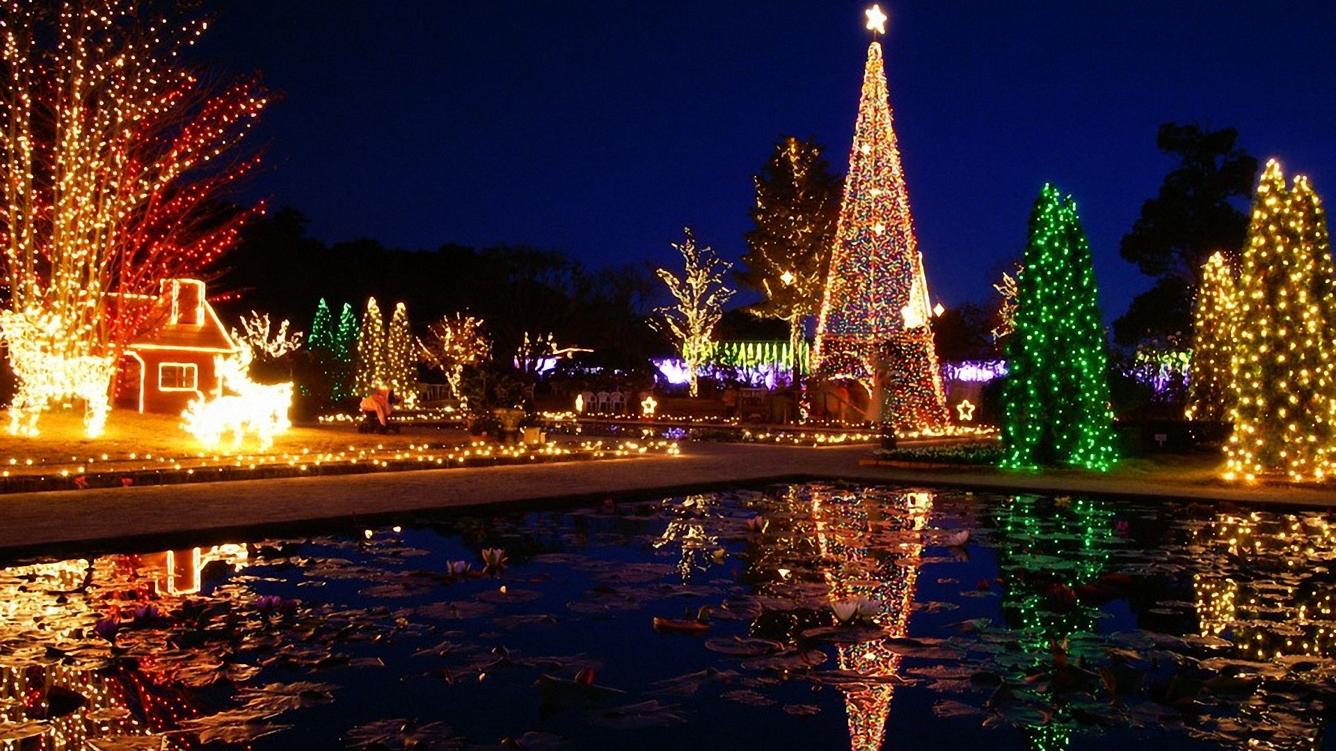 sfondi di natale hd,luci di natale,decorazione natalizia,leggero,natale,notte