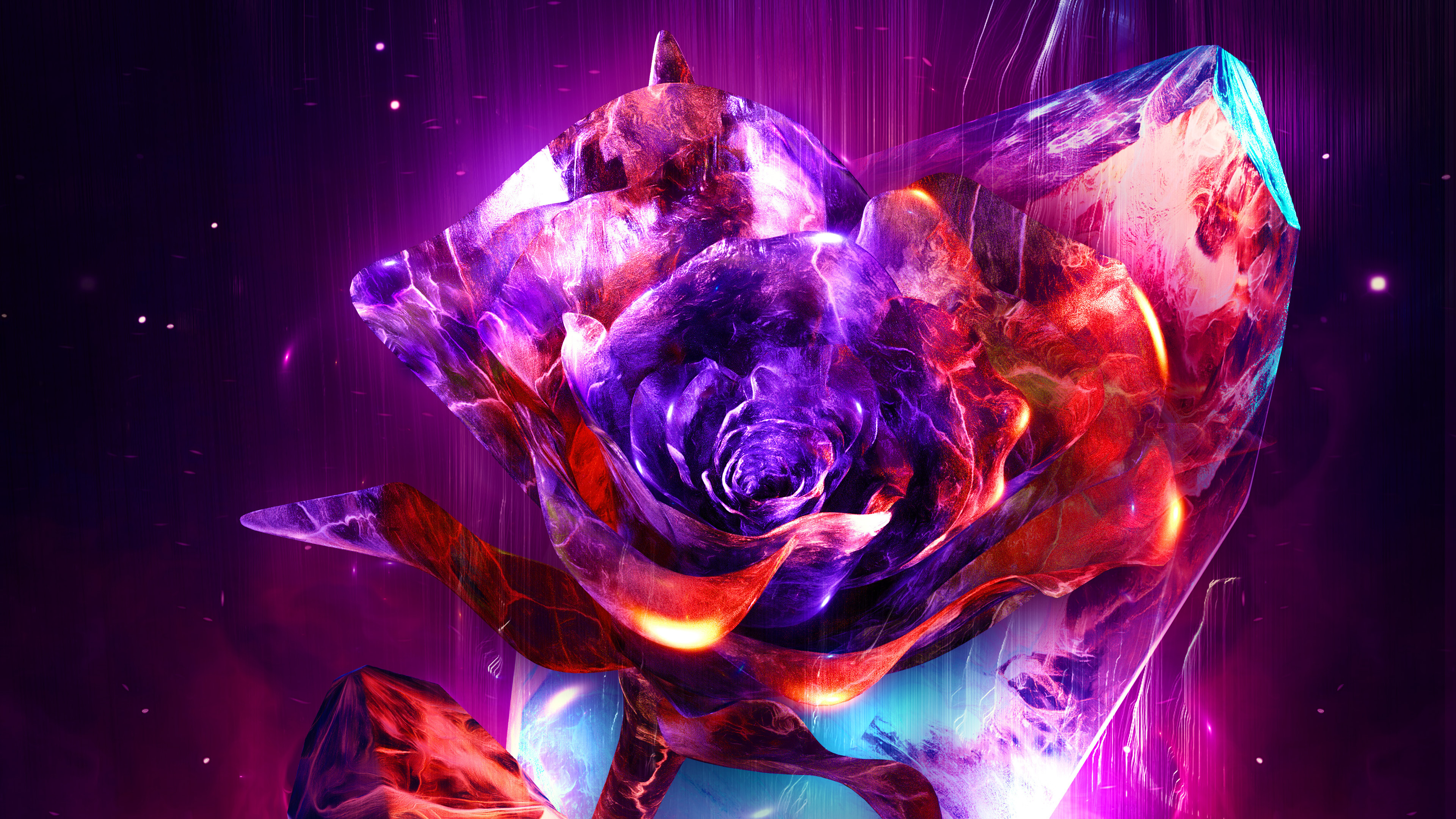 rosentapete hd,lila,violett,rosa,rose,fraktale kunst