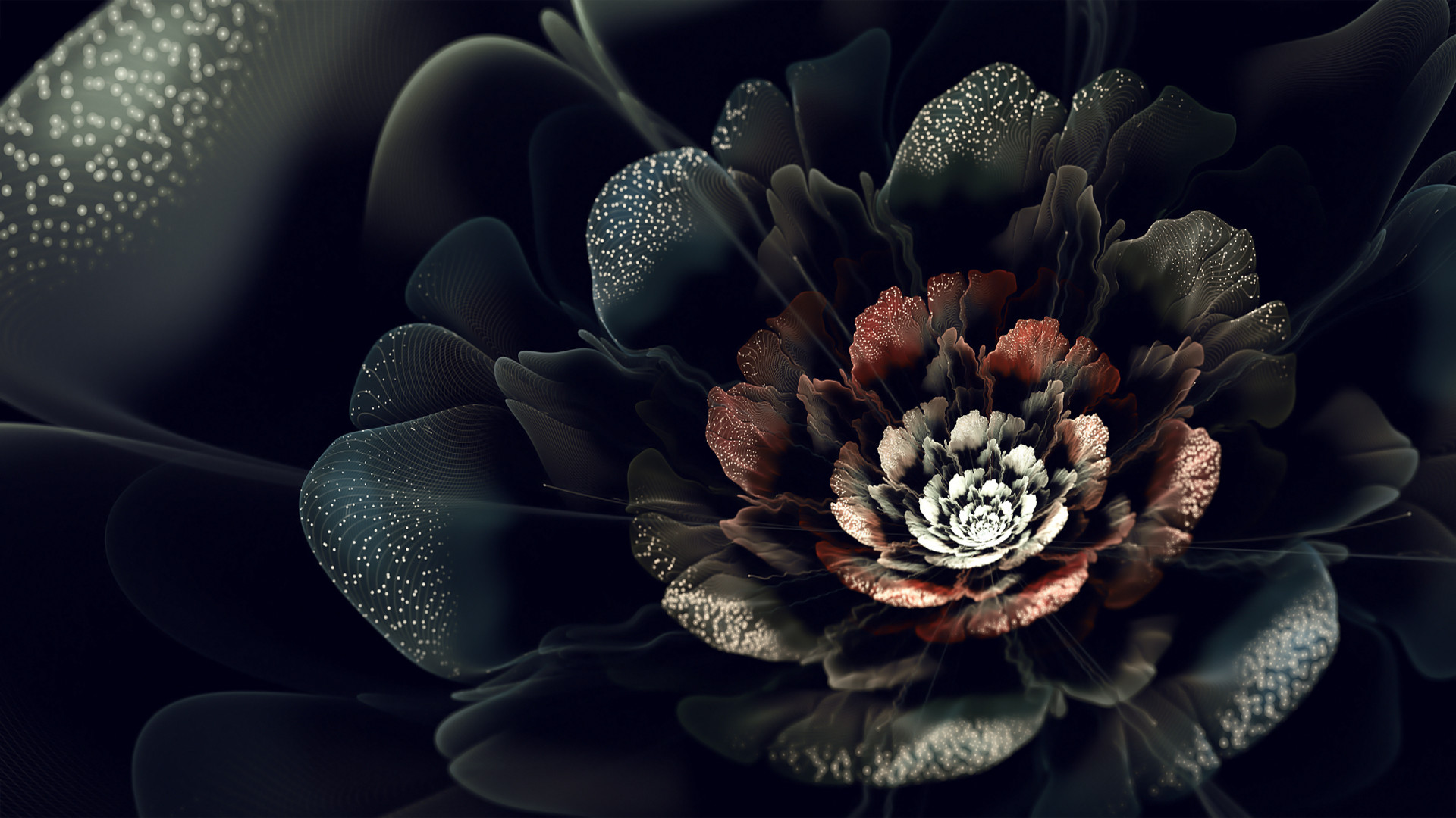 fond d'écran rose hd,fleur,art fractal,pétale,plante,photographie de nature morte