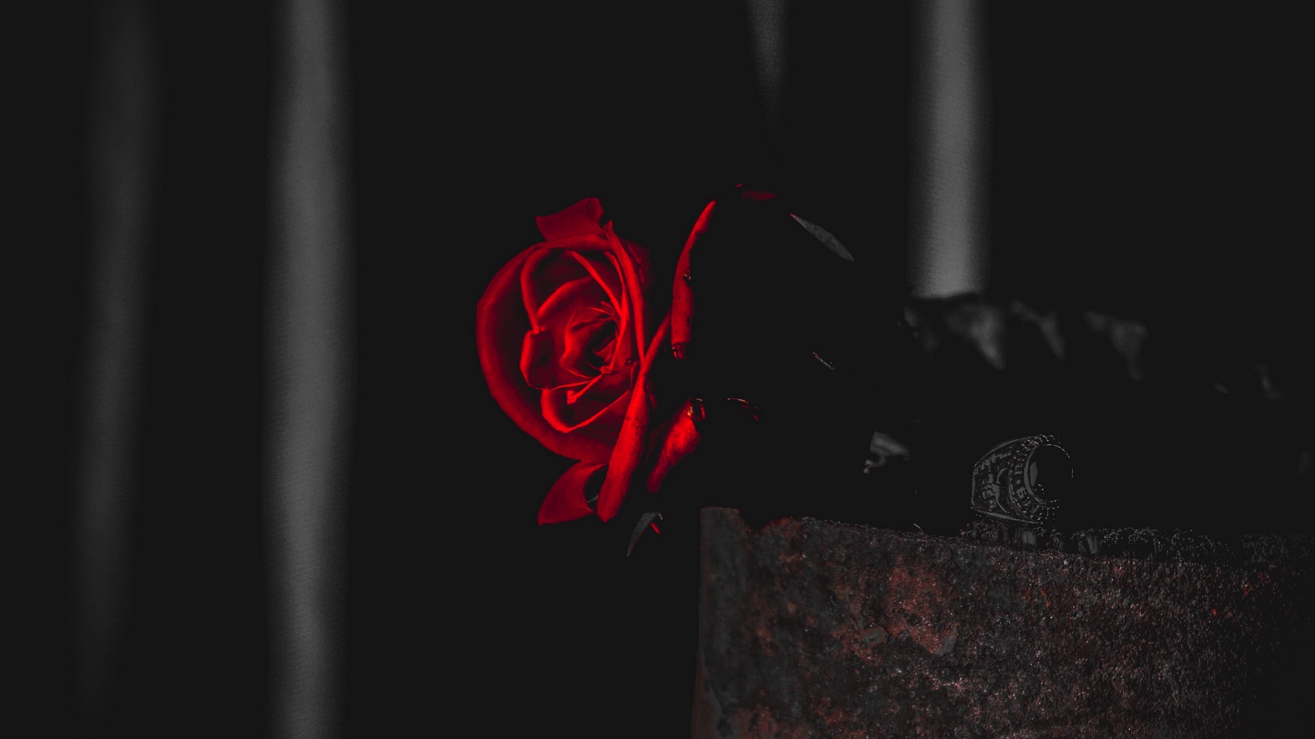 rosentapete hd,rot,schwarz,dunkelheit,licht,karminrot