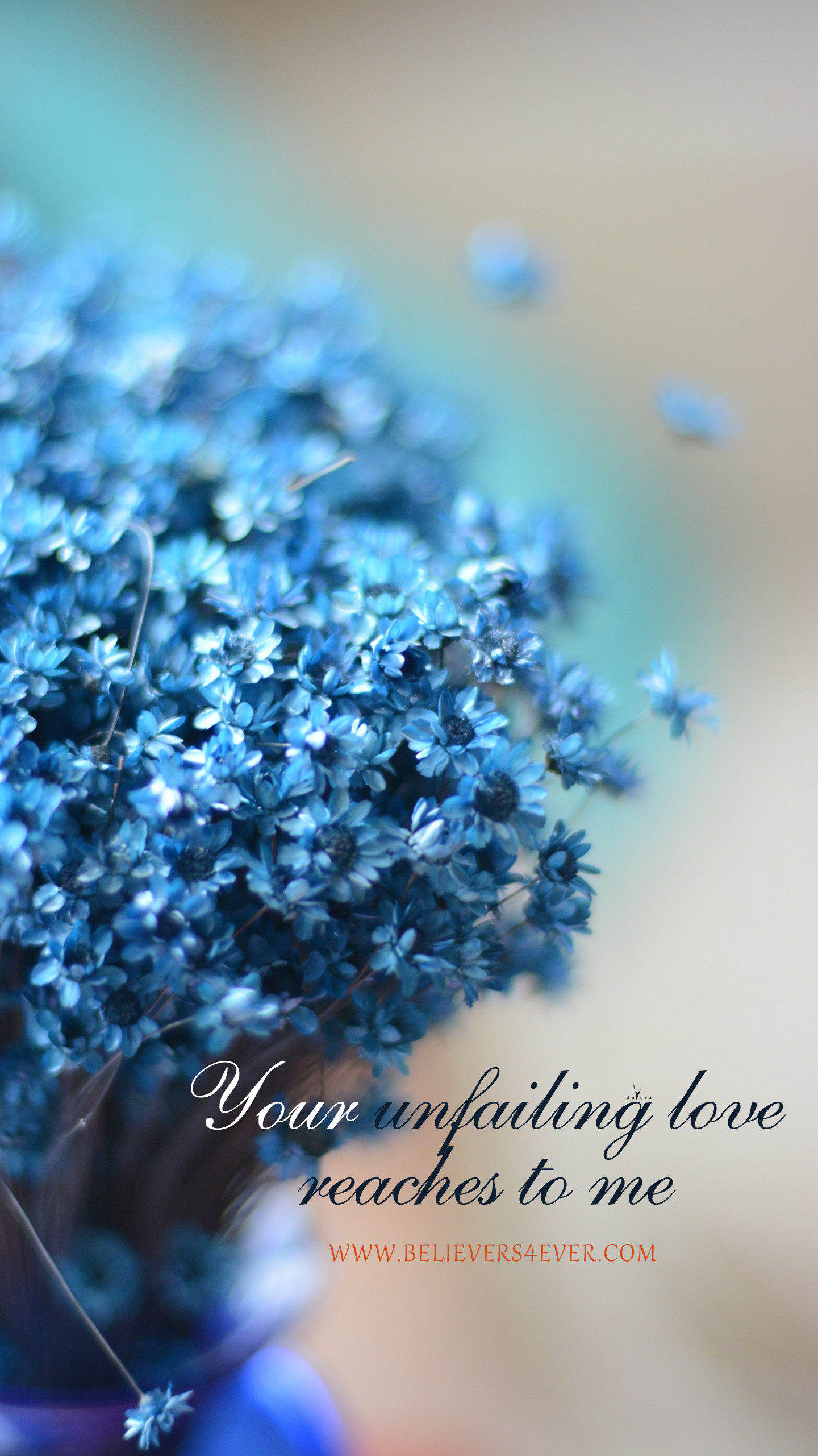 wallpapers for me,blue,aqua,lavender,font,flower