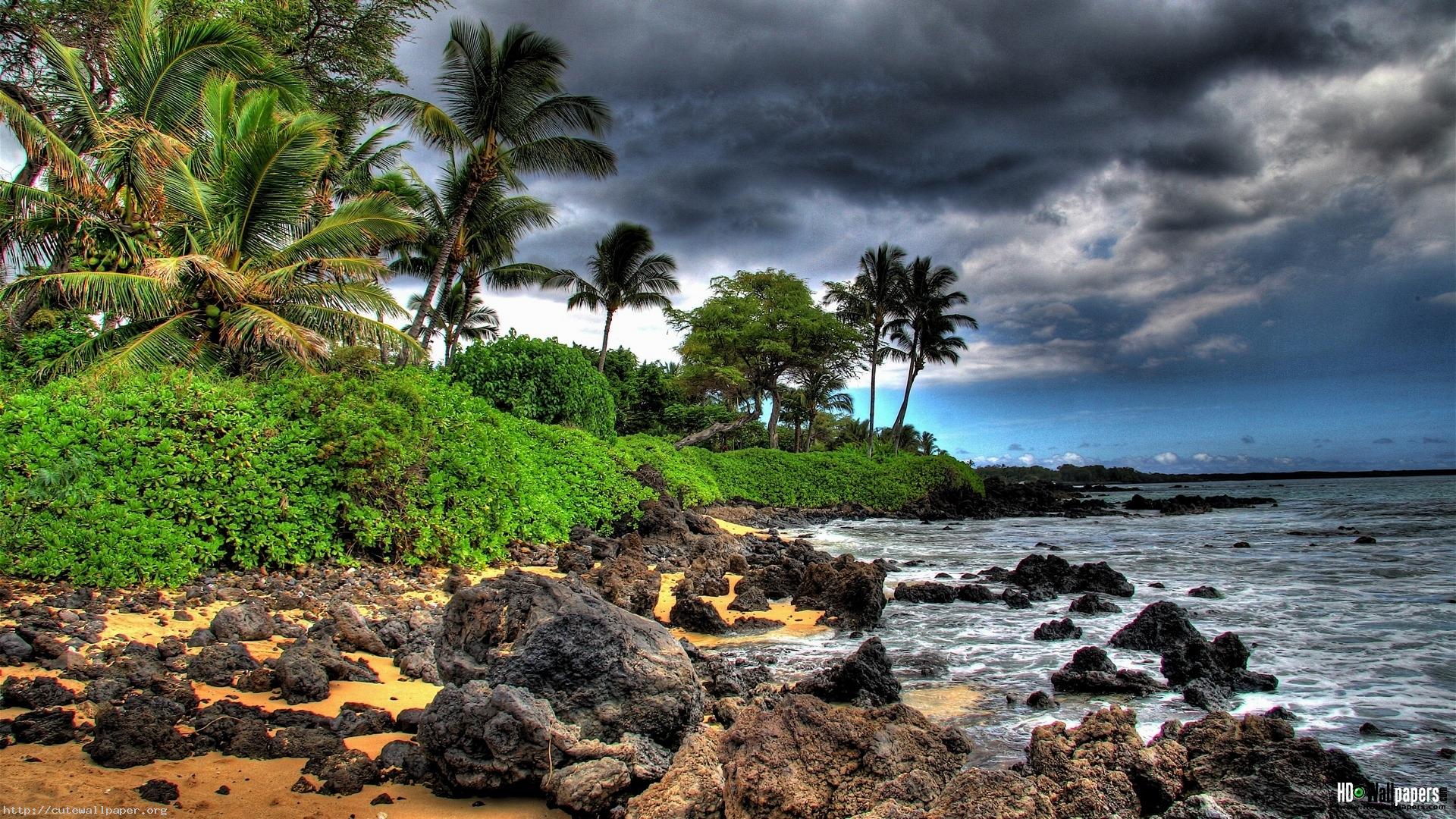 fondo de pantalla hd,naturaleza,apuntalar,paisaje natural,árbol,costa